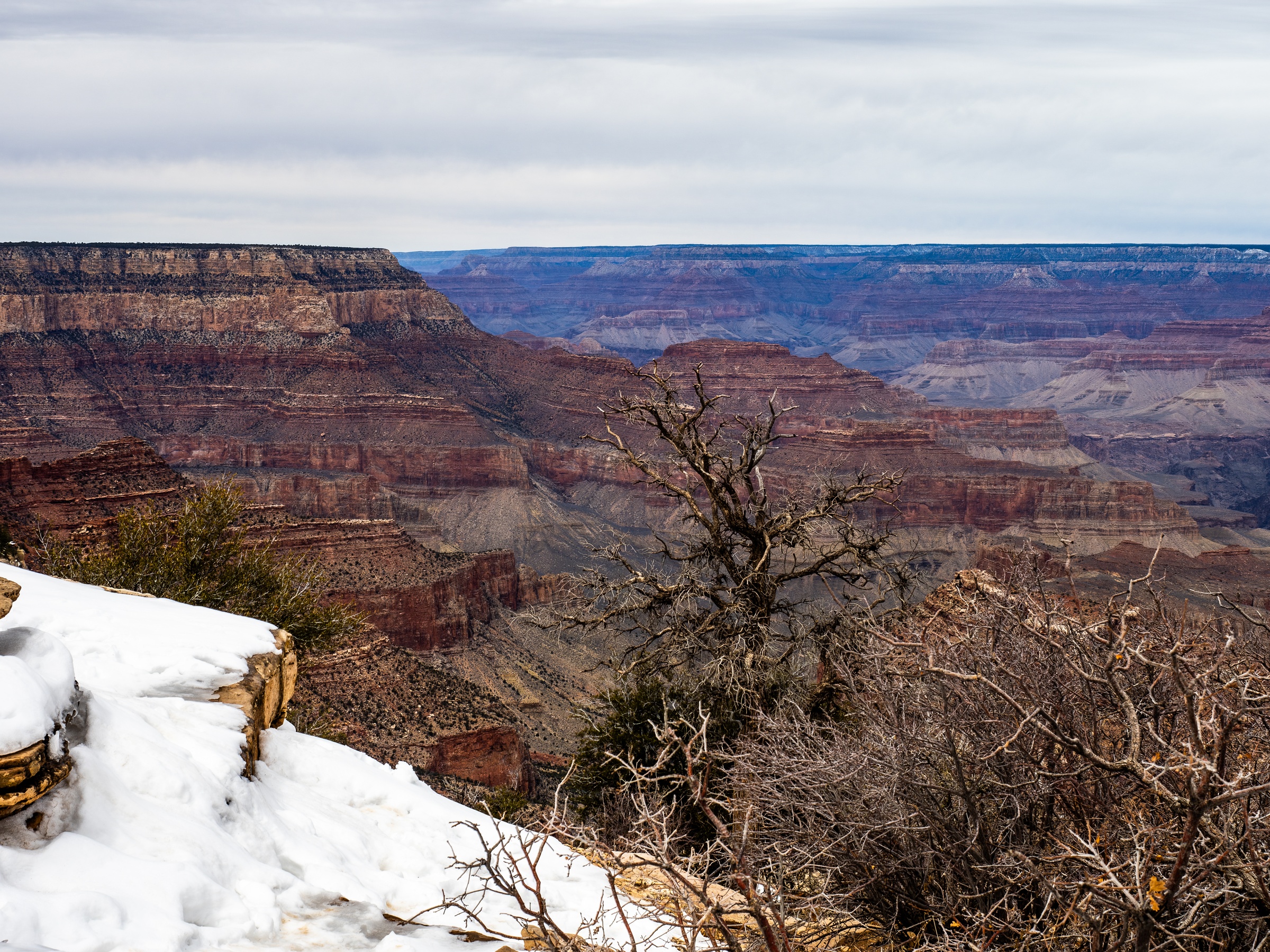 Grand Canyon's layered rock formations stretch into a hazy distance under an overcast sky.