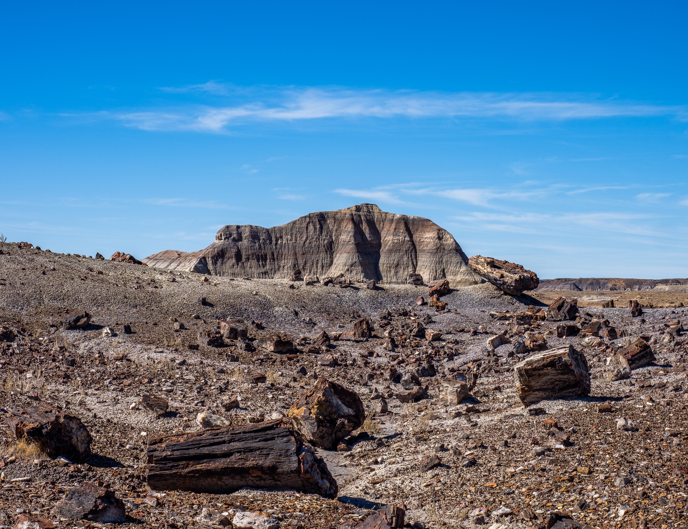 Petrified logs are scattered across a desert landscape beneath a clear blue sky.