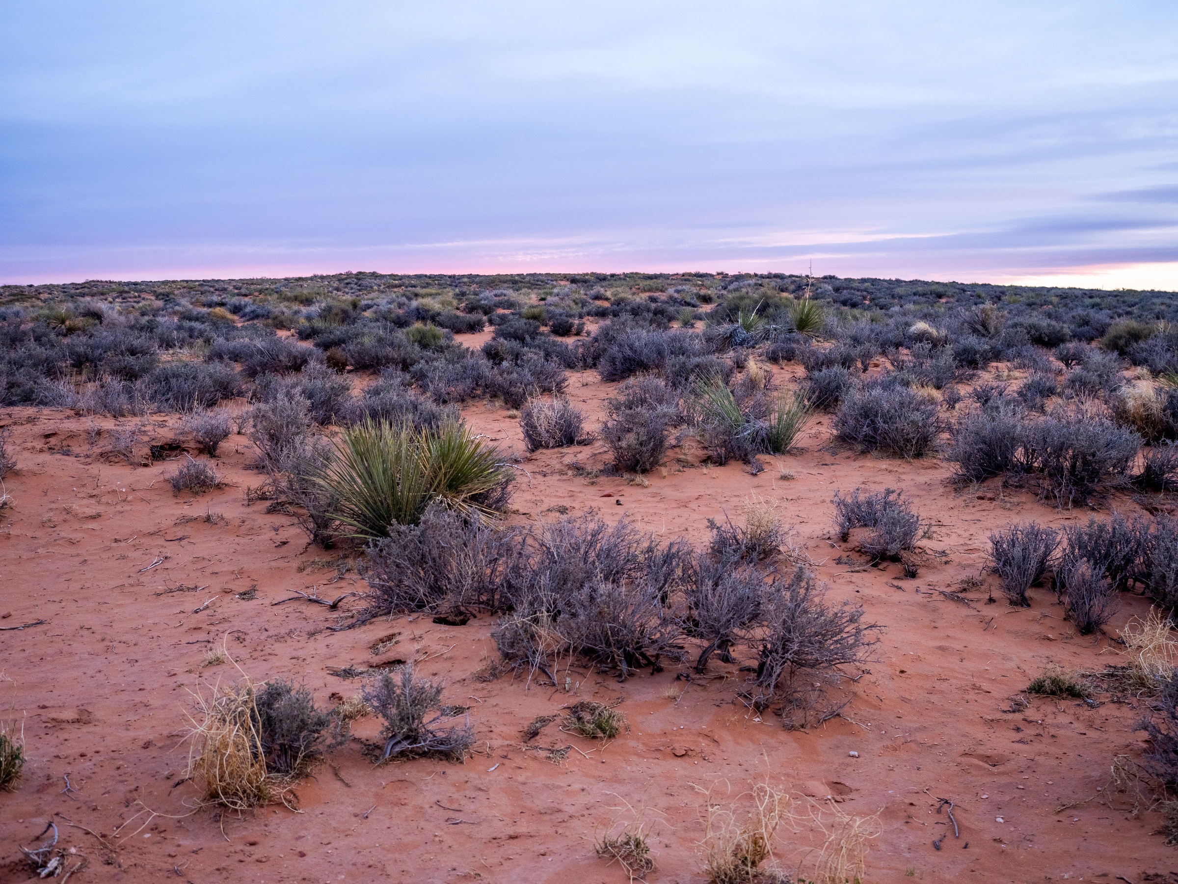 Sparse desert vegetation covers a reddish landscape under a pastel twilight sky.