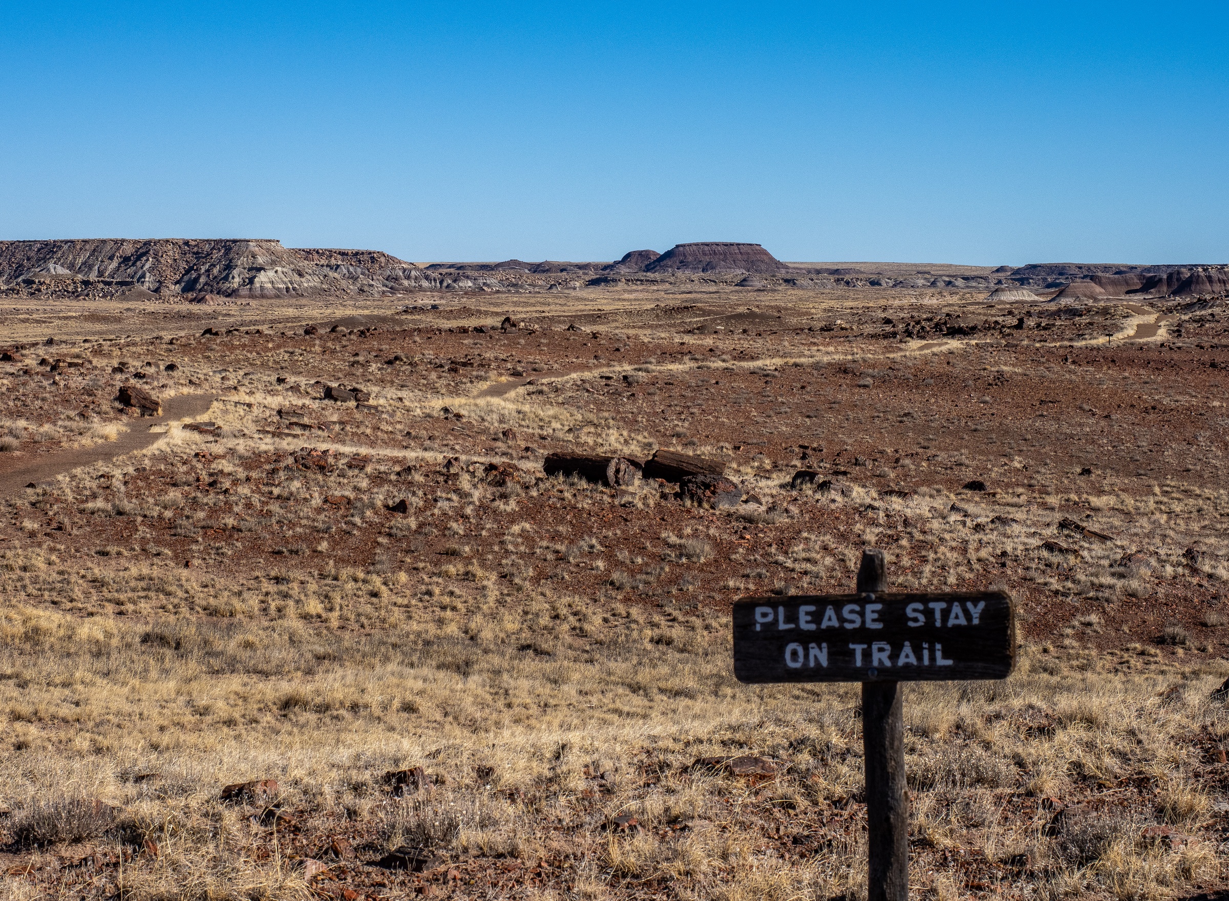 A sign reading "Please Stay on Trail" stands in a vast, arid landscape with distant mesas.