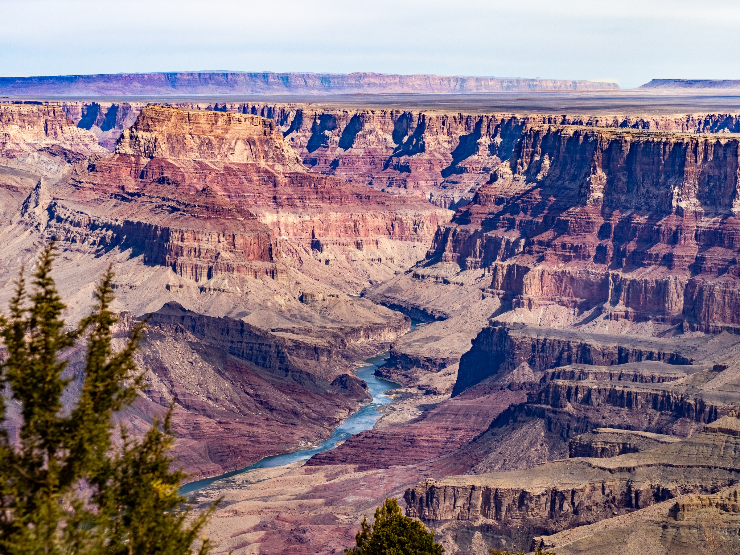 Vast canyon walls of layered rock descend to a winding river under a bright sky.
