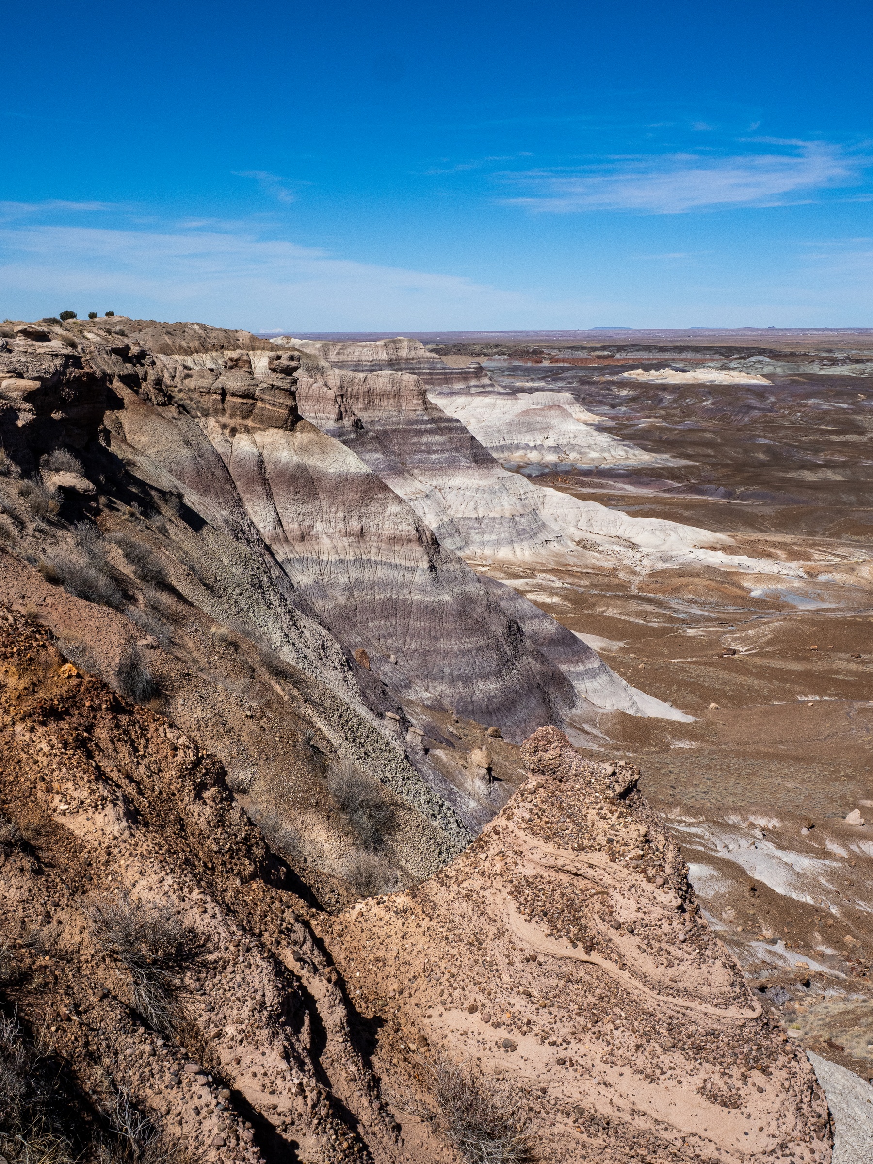 Colorful layered rock formations and desert landscape stretch to the horizon under a clear blue sky.