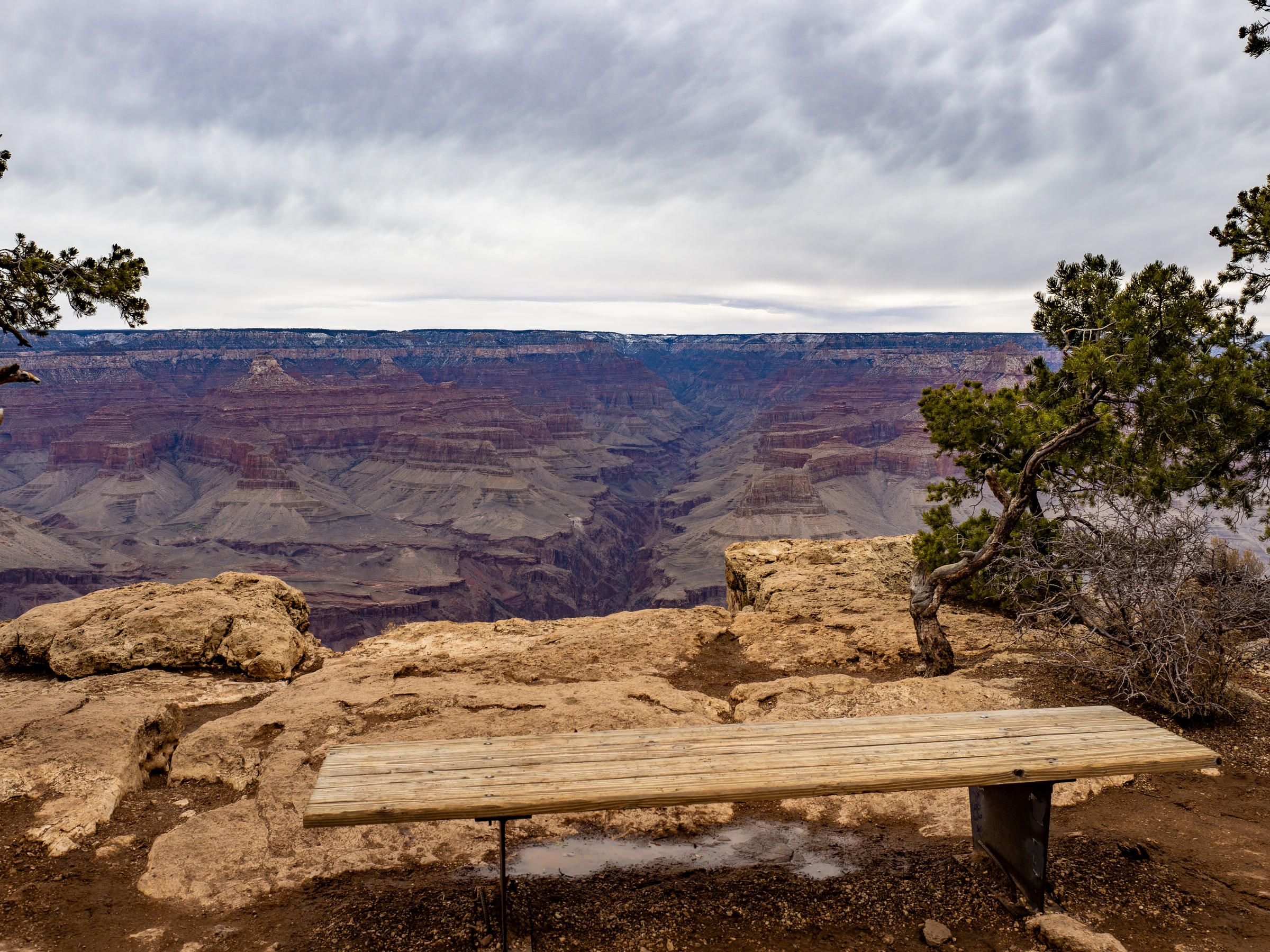 A wooden bench sits before a vast canyon landscape under an overcast sky.