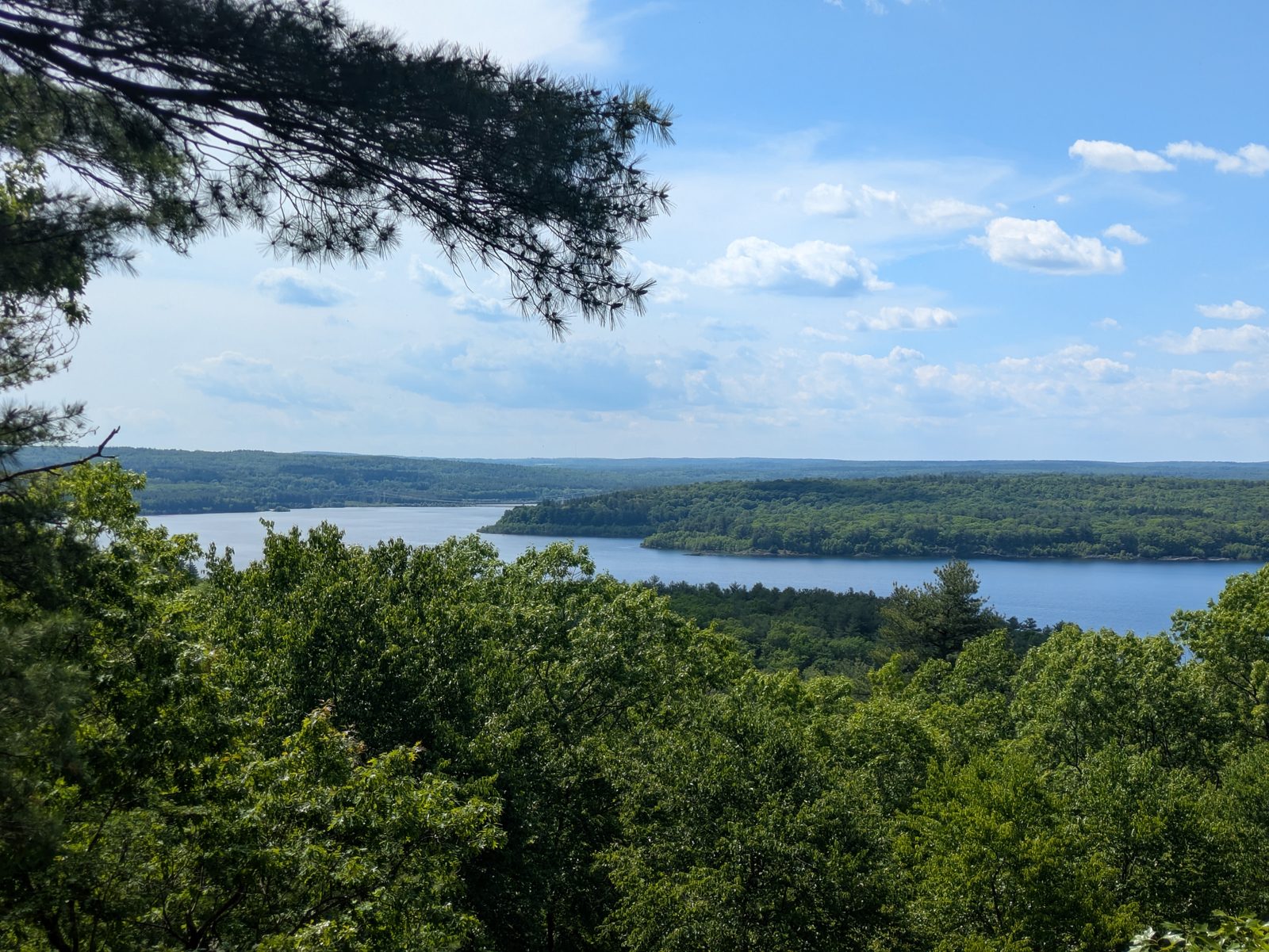 A view of a winding blue reservoir against green foliage in the foreground and gentle sloping green hills.