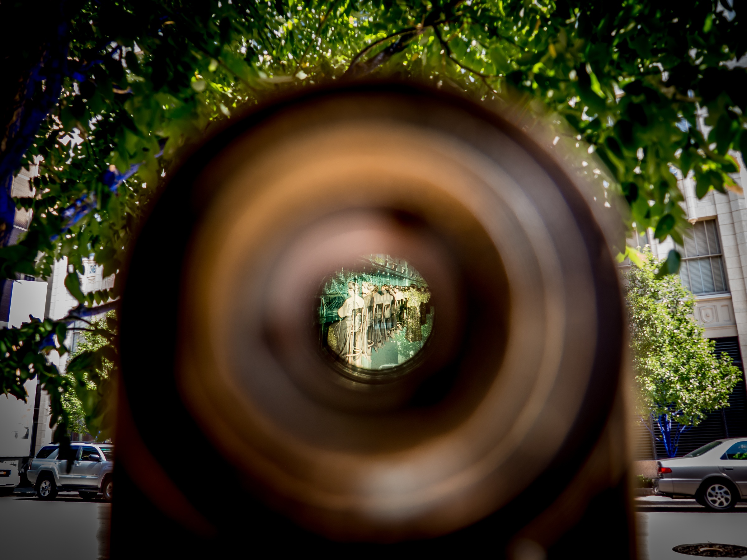 A tree trunk frames a view of a street with trees, buildings, and vehicles beyond.