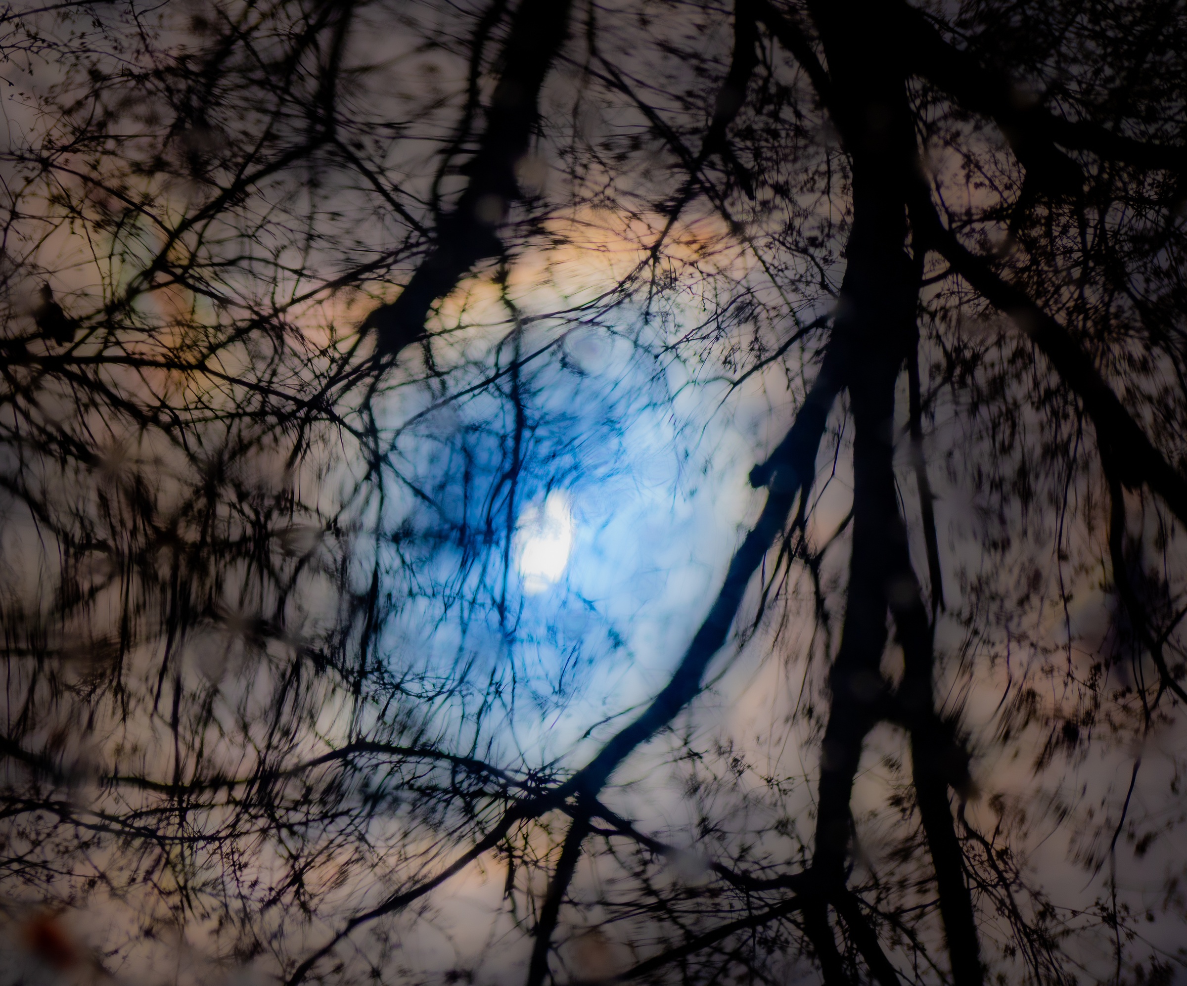 Bare tree branches obscure a cloudy sky with a bright moon visible through the gaps.