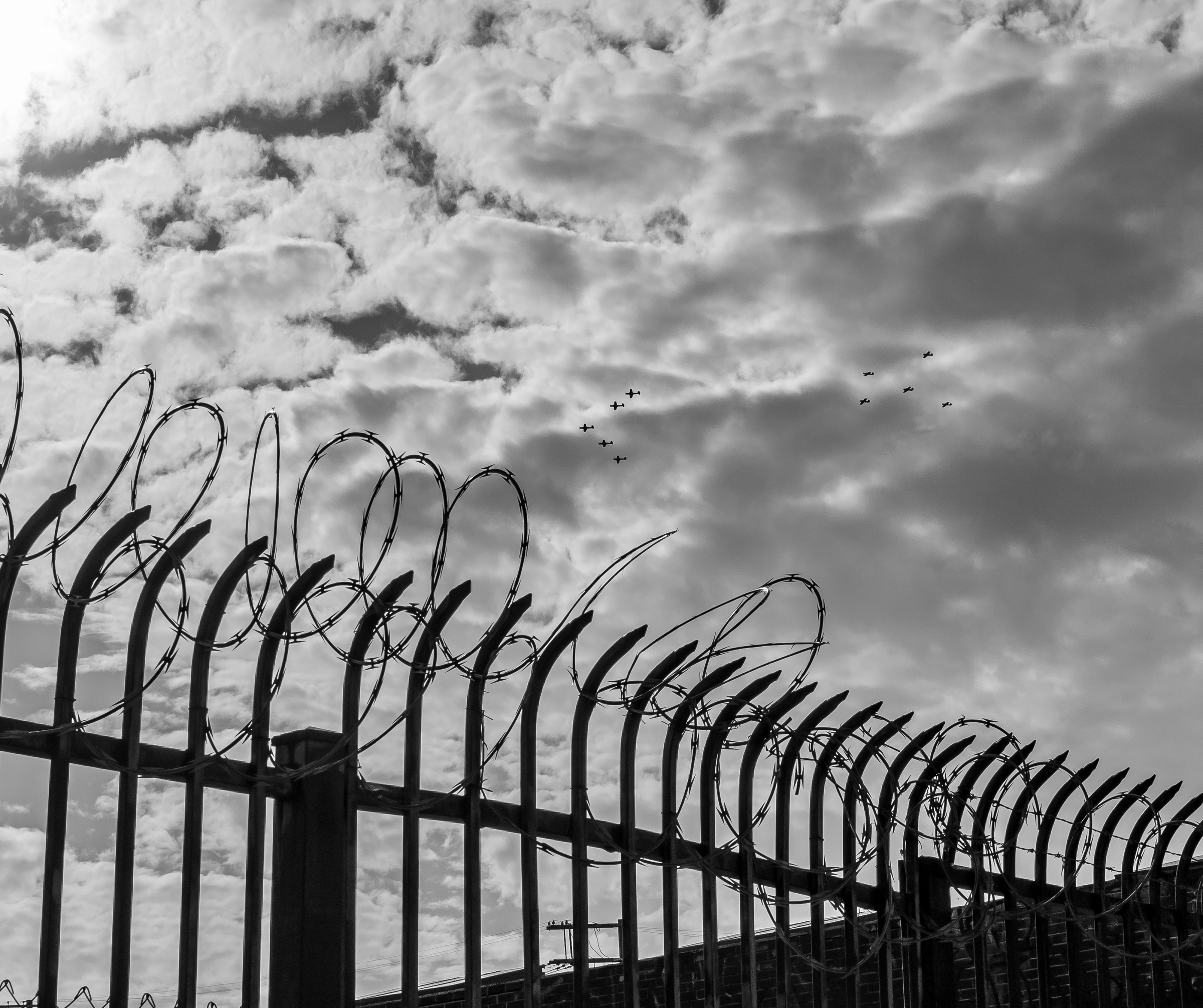 Barbed wire tops a fence against a cloudy sky with birds flying above.