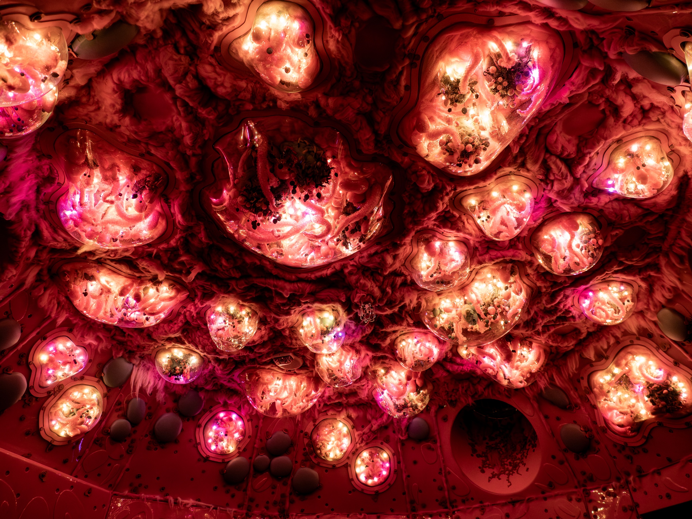 Illuminated, organic-shaped forms glow red and pink against a dark ceiling.