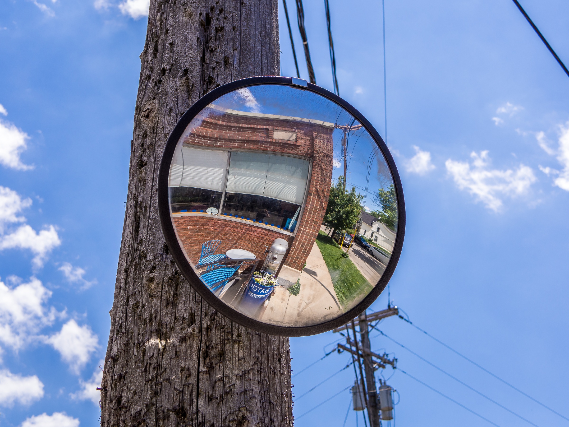 A convex mirror affixed to a tree trunk reflects a brick building and blue sky.