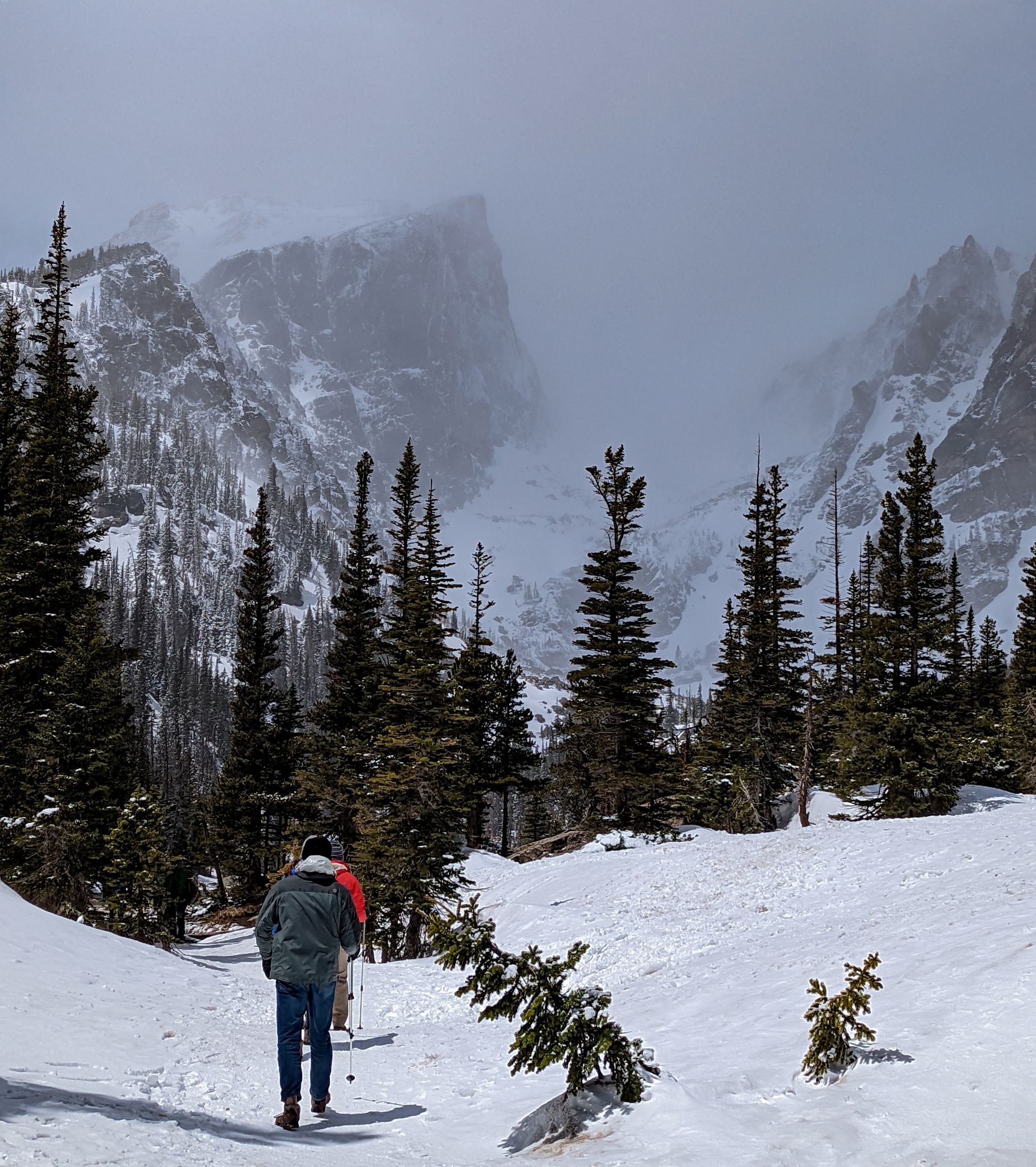 A person with a walking stick walks through snow-covered trees toward distant, snowy mountains.