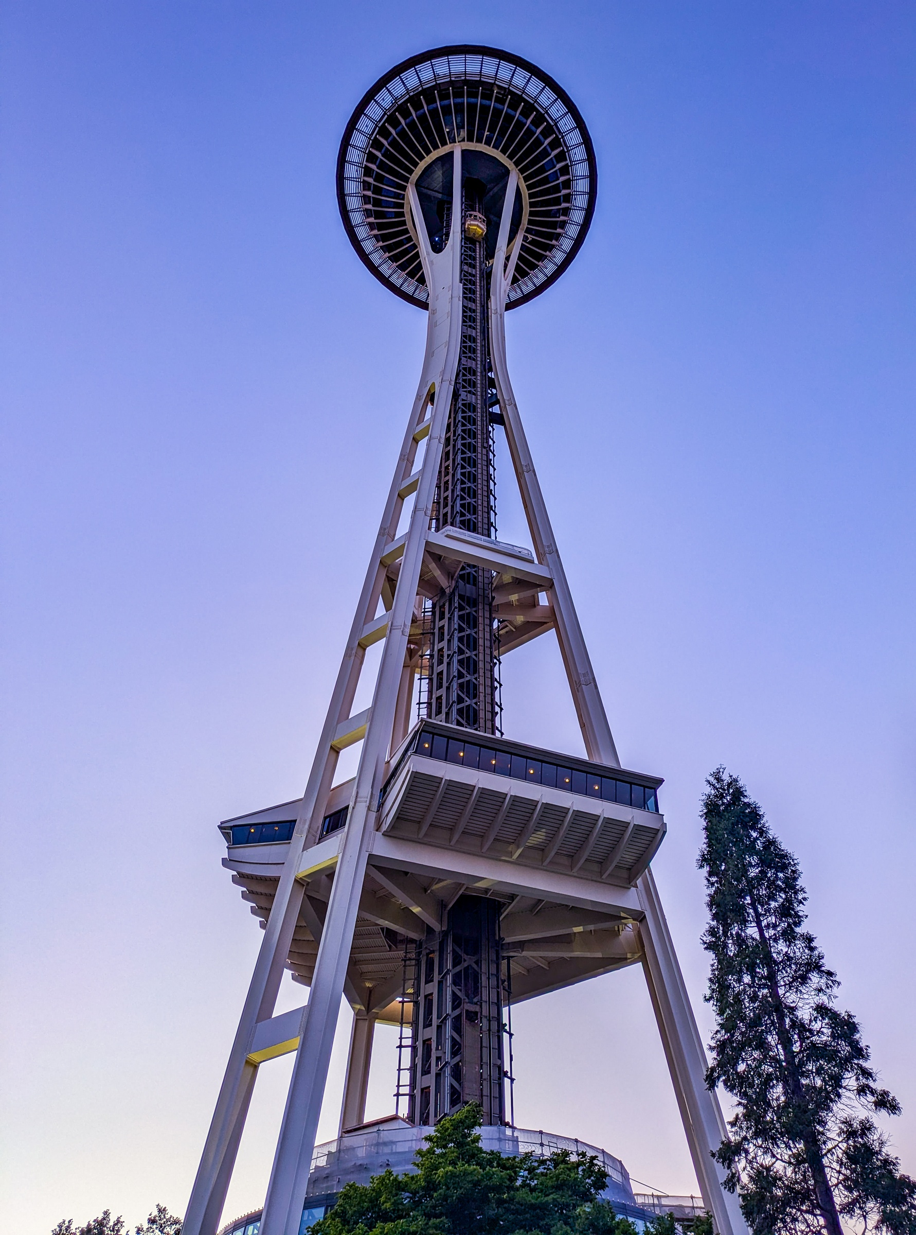 The Space Needle rises above Seattle against a clear blue sky with evergreen trees below.
