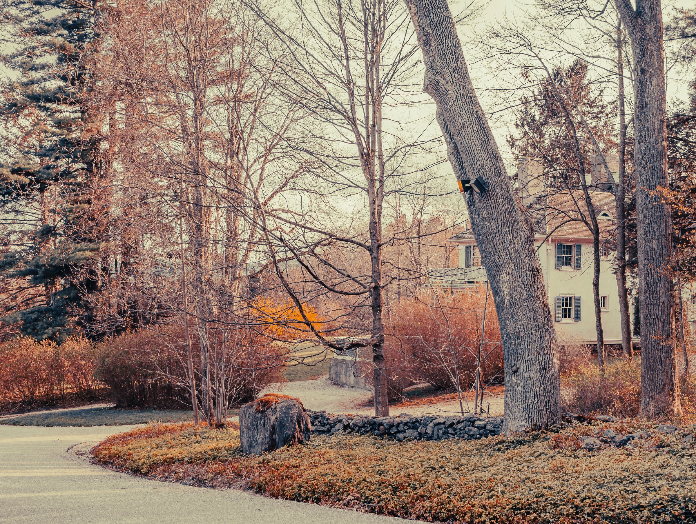 Bare trees and a stone wall frame a house nestled within an autumnal, wooded landscape.
