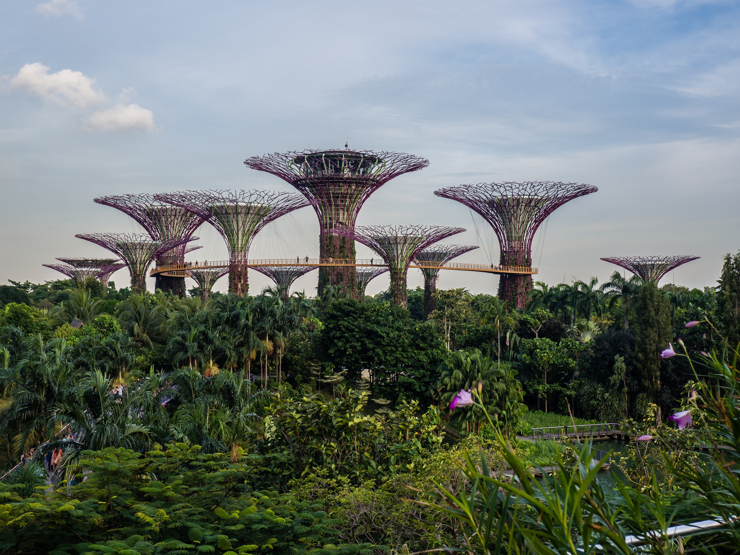 Futuristic tree-like structures rise above lush greenery in Singapore's Gardens by the Bay.