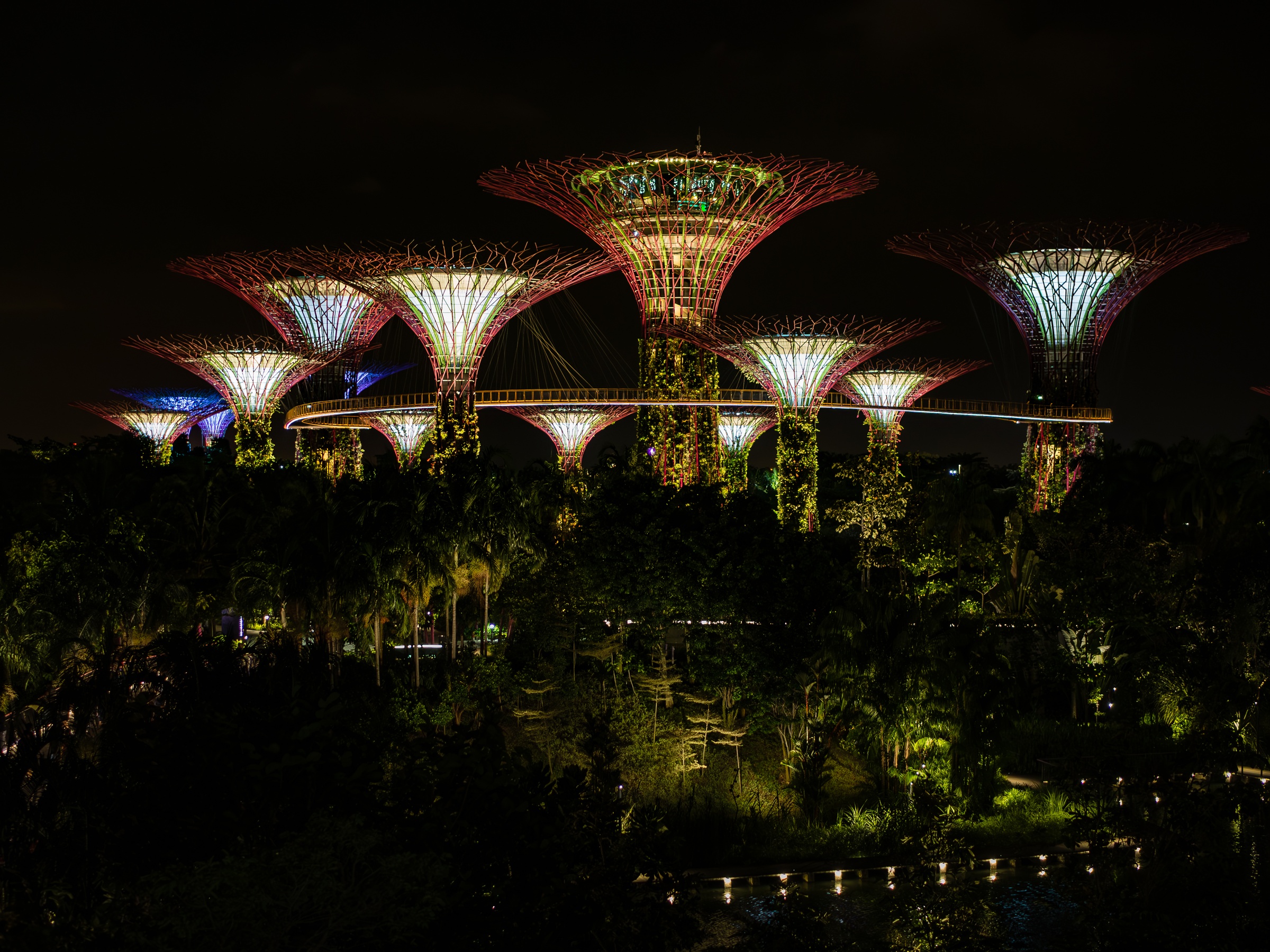 Illuminated Supertrees rise above lush greenery at Gardens by the Bay in Singapore at night.