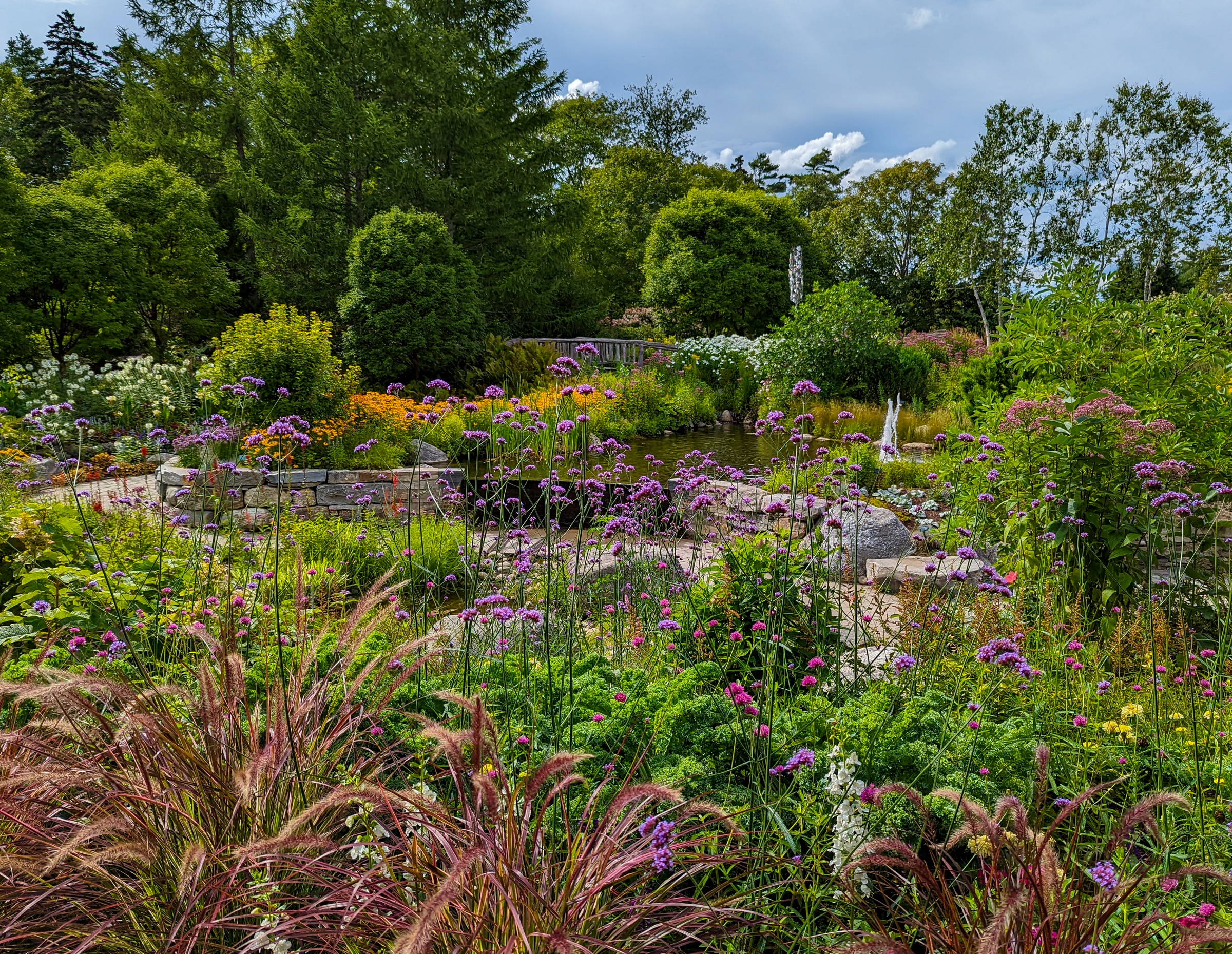 A lush garden with a pond, stone path, and vibrant purple flowers fills the scene.