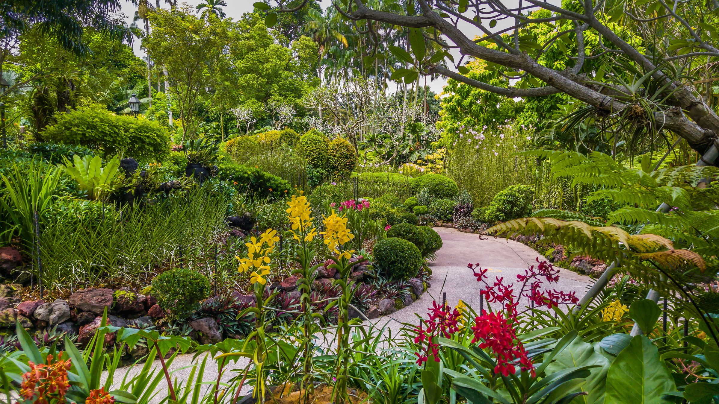 A winding path leads through a lush tropical garden filled with vibrant plants and colorful flowers.
