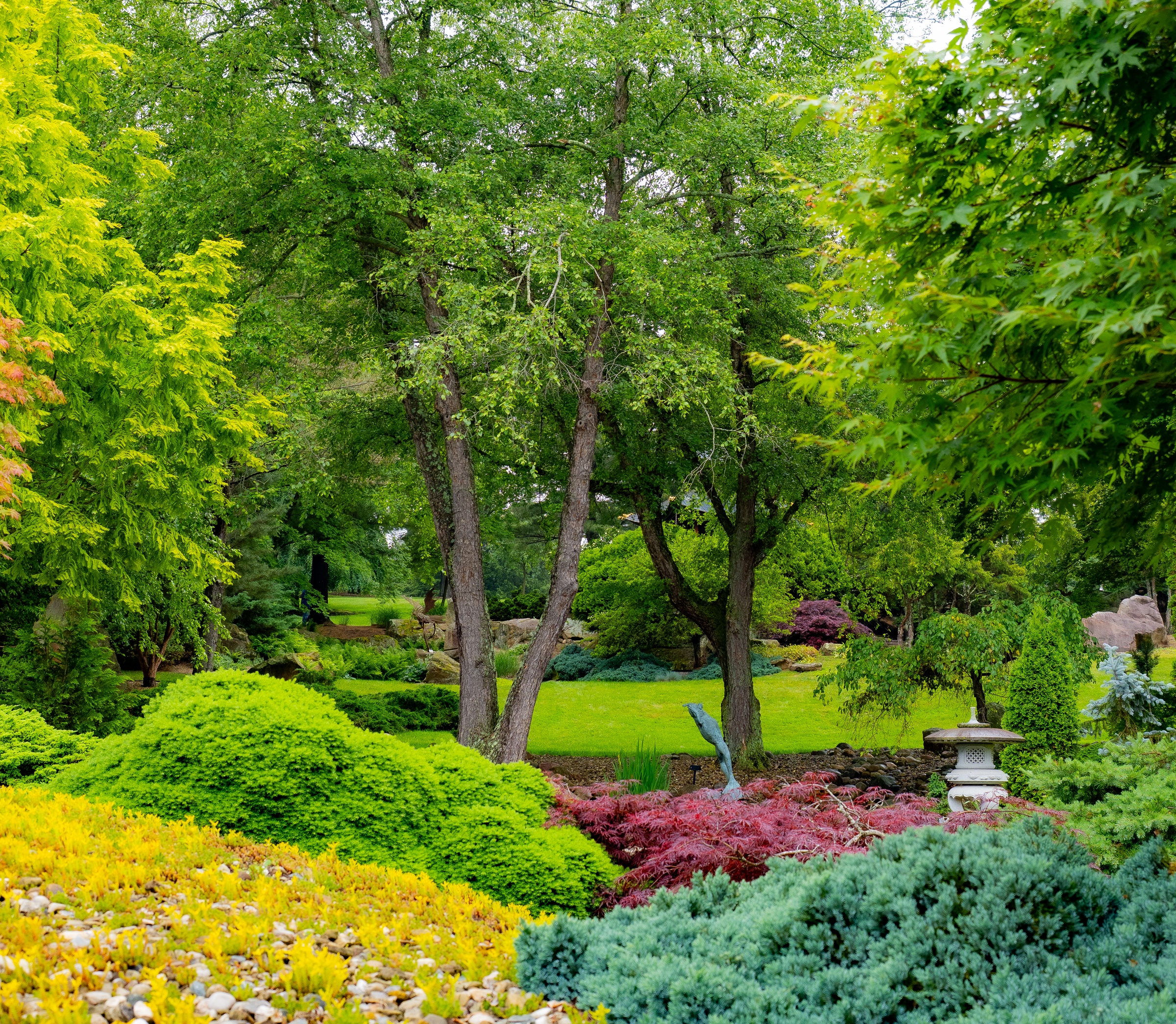 Lush green trees and vibrant groundcover fill a meticulously landscaped garden with stone accents.
