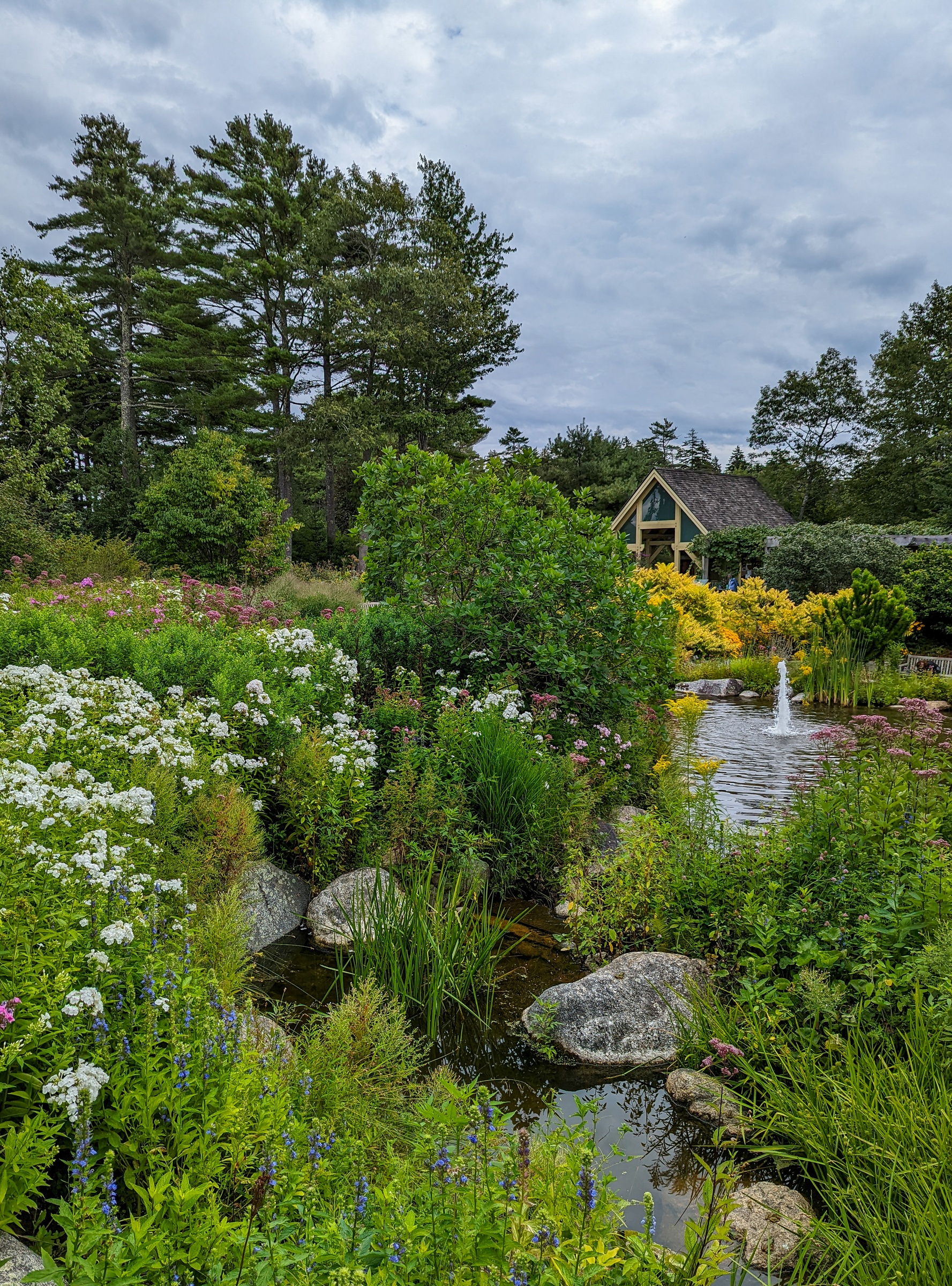 A small building sits beyond a pond with wildflowers and rocks in a lush garden setting.