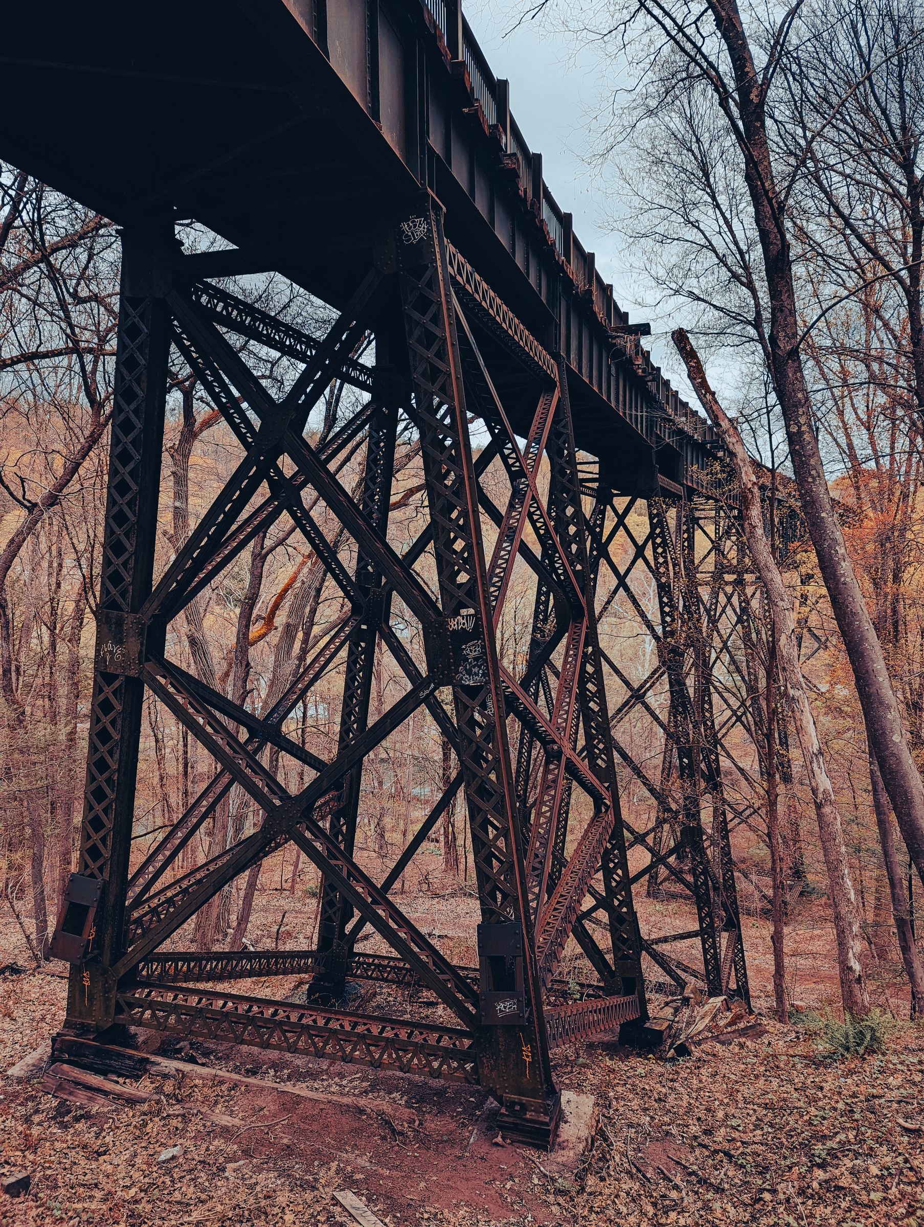 A weathered steel railroad trestle spans a wooded area with trees and foliage visible.