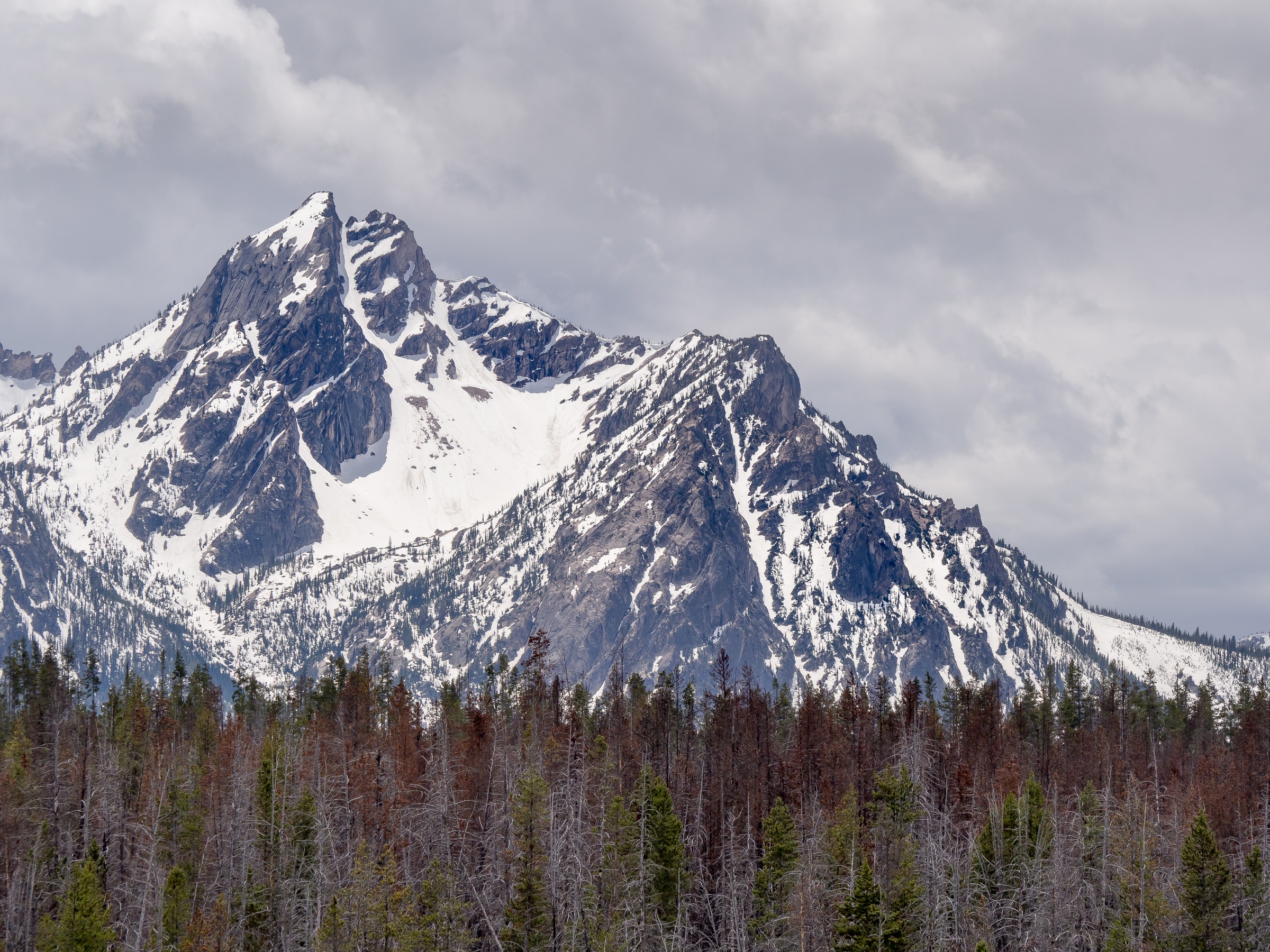 A snow-capped mountain peak towers above a coniferous forest under a cloudy sky.