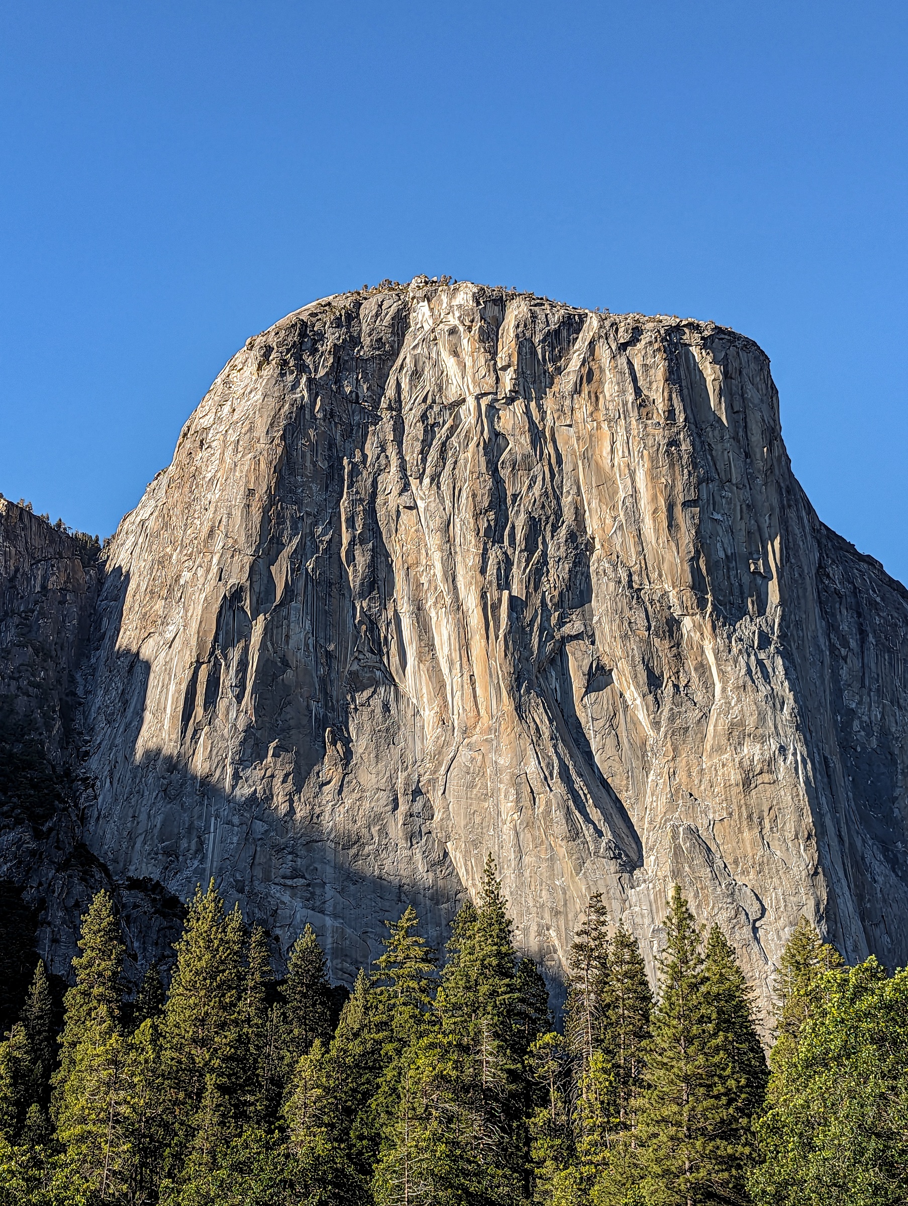 A towering granite cliff rises above evergreen trees under a clear blue sky.