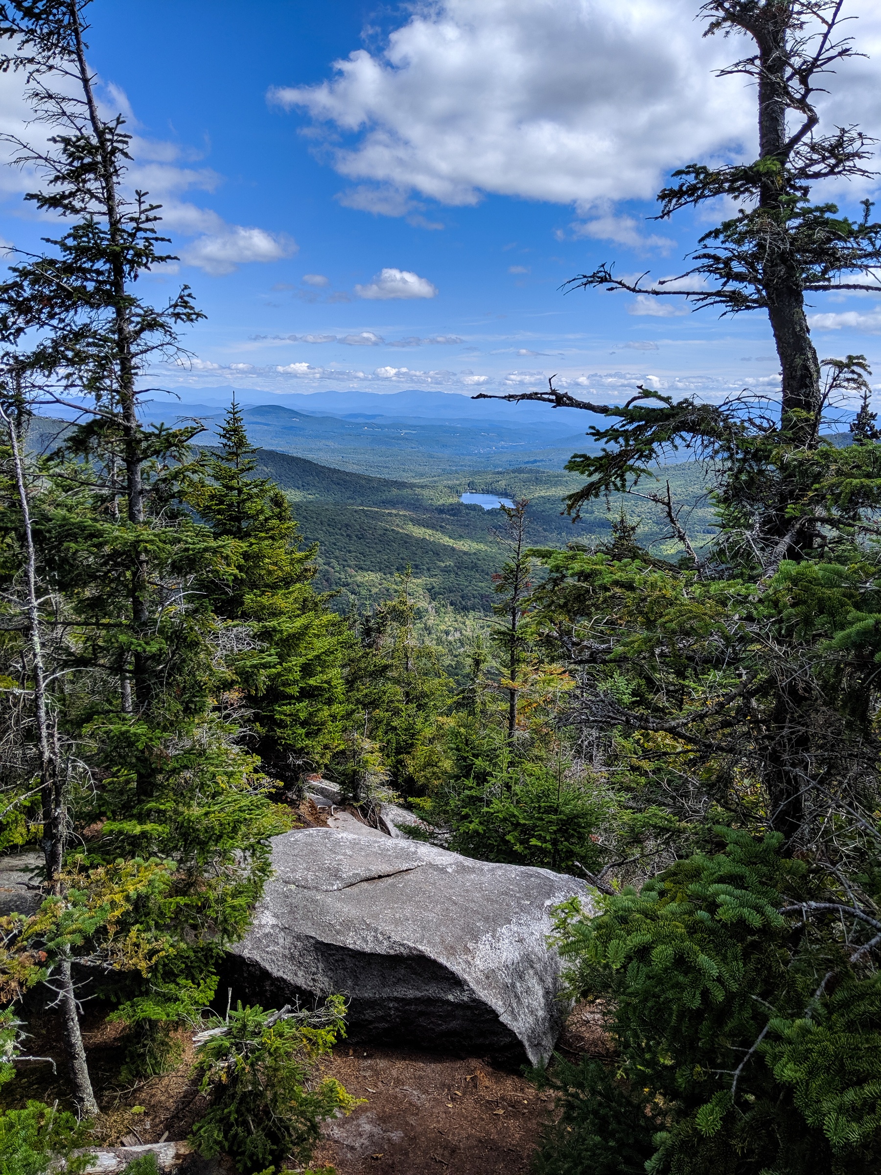 Evergreen trees and a large rock overlook a vast forested valley with a small lake.