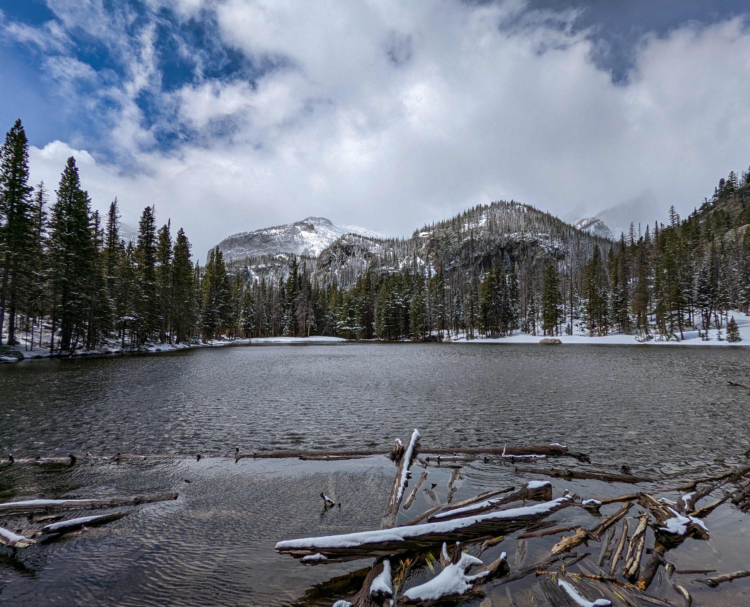Snow-dusted logs float in a mountain lake surrounded by evergreen forests and distant mountains.