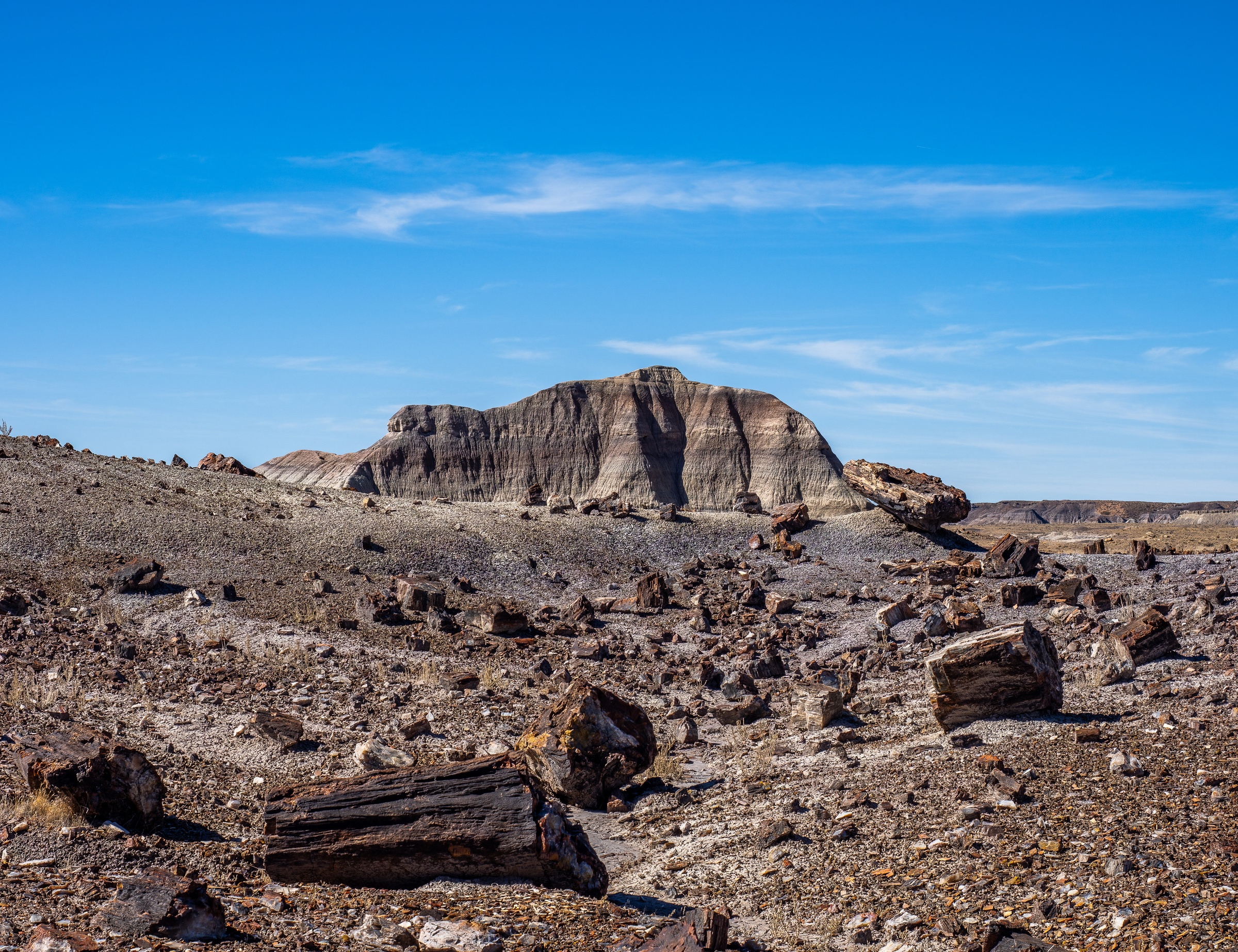 Petrified wood logs litter a rocky desert landscape beneath a large rock formation and blue sky.