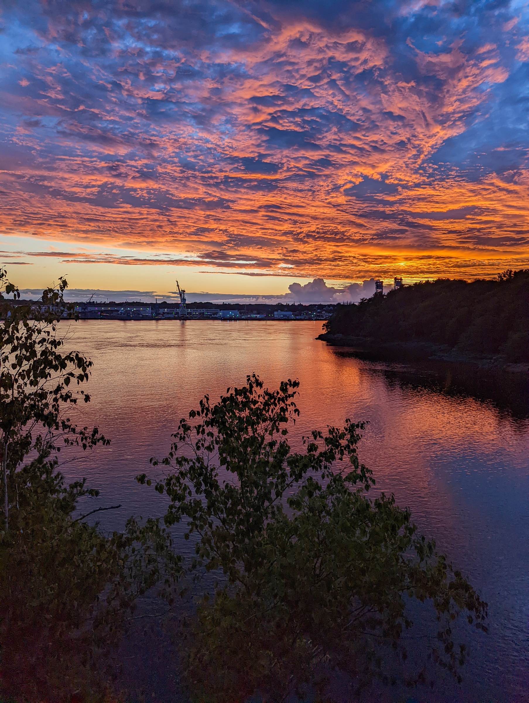Vibrant orange and purple clouds reflect in a body of water with silhouetted trees and distant industrial structures.