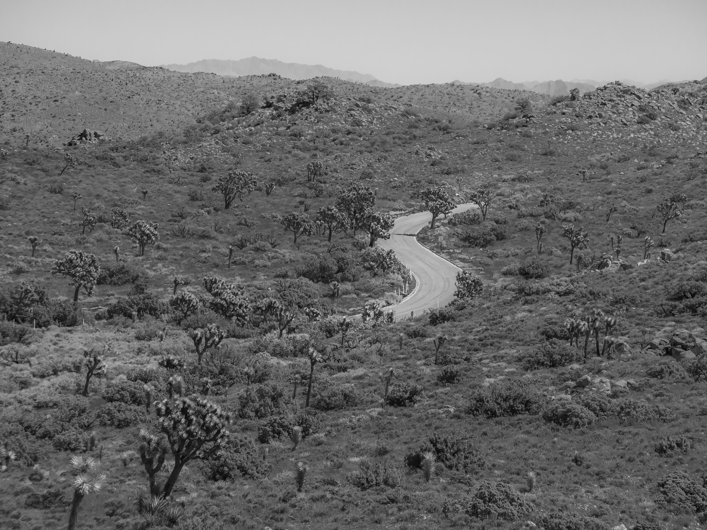 A winding road curves through an arid, hilly landscape dotted with small trees.