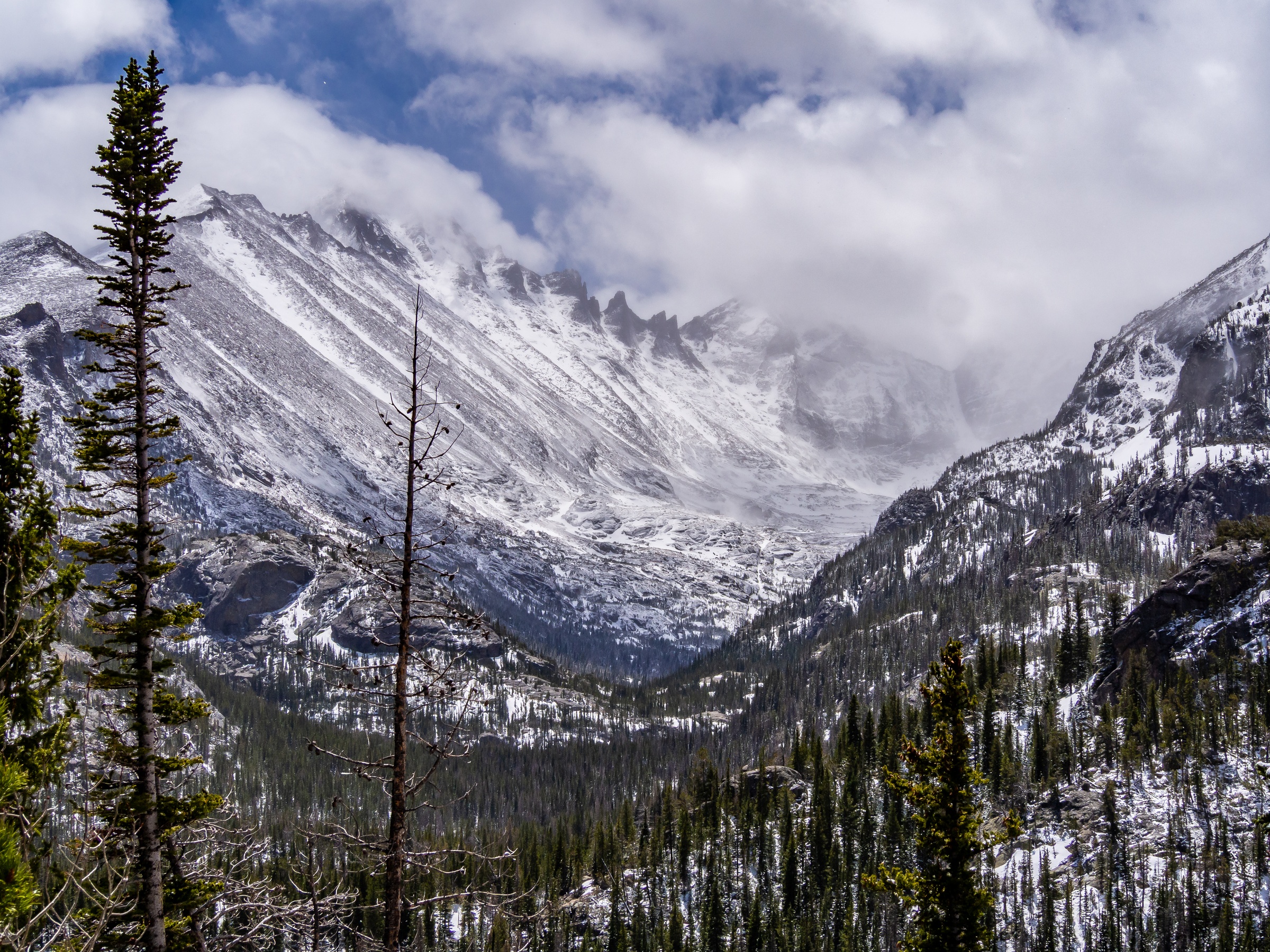 Snow-covered mountains tower over a valley of evergreen trees beneath a cloudy sky.