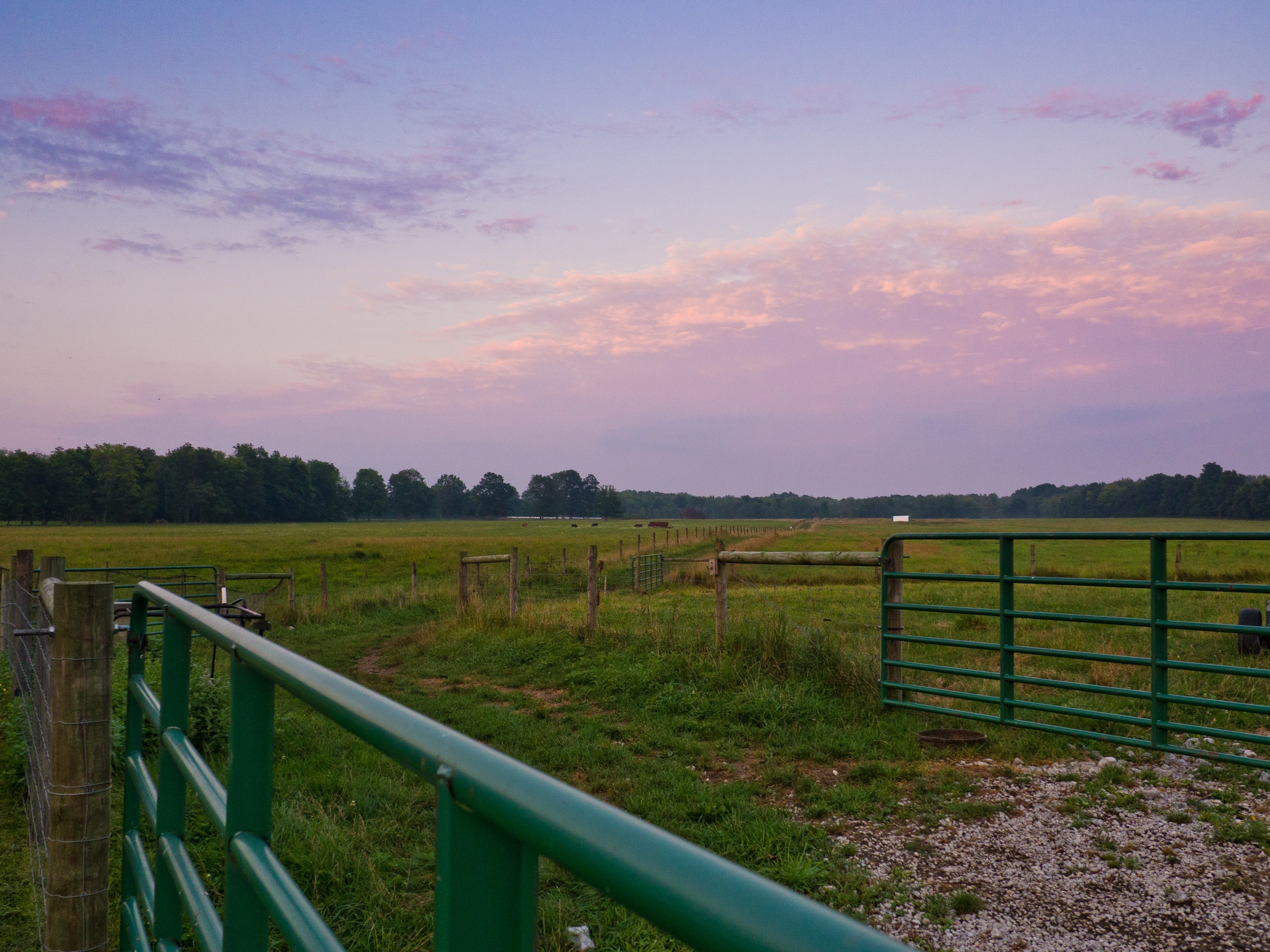 Green metal gates stand in a grassy field under a purple and pink sky.