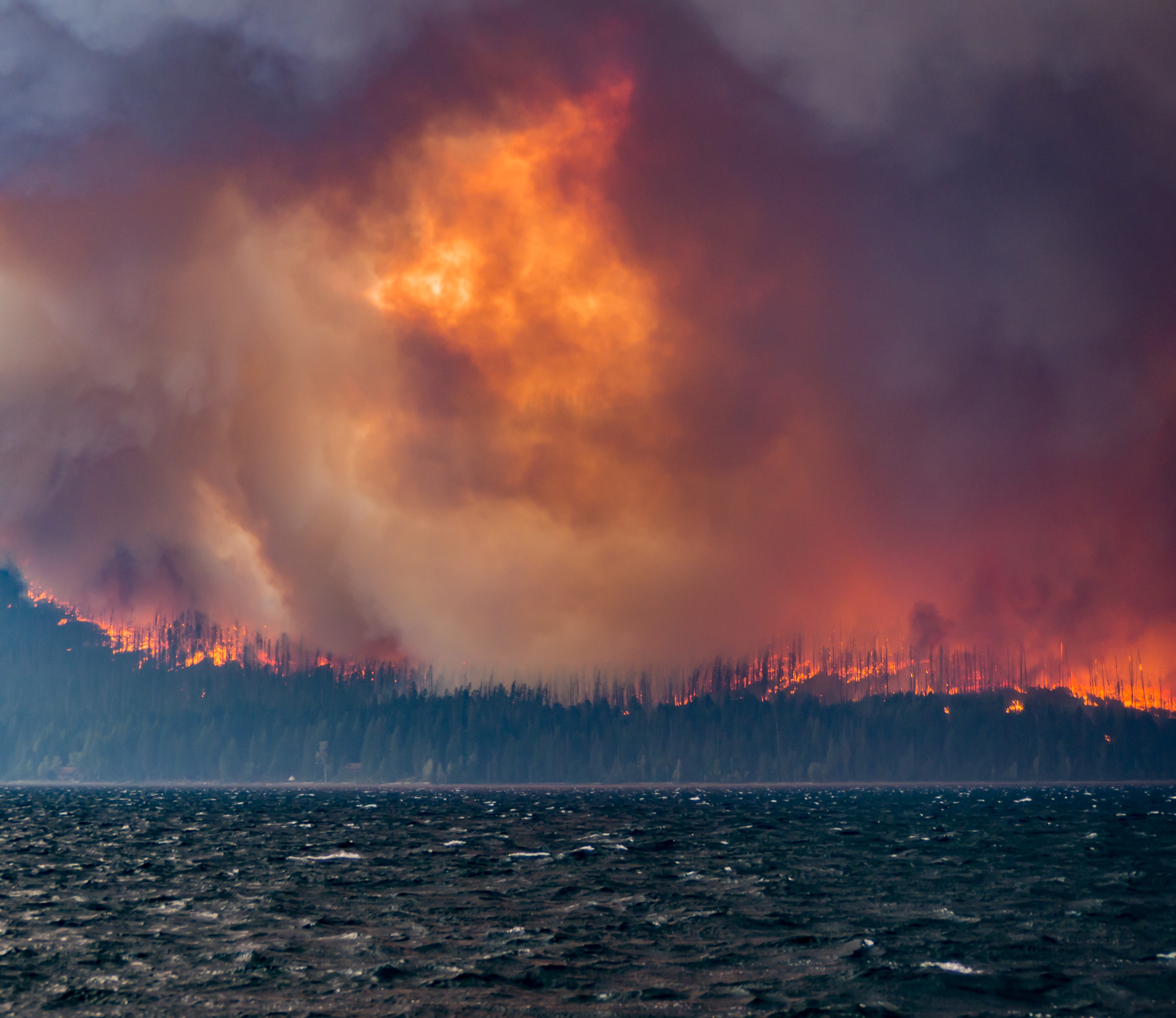 Orange flames and dense smoke from a forest fire rise over a dark body of water.
