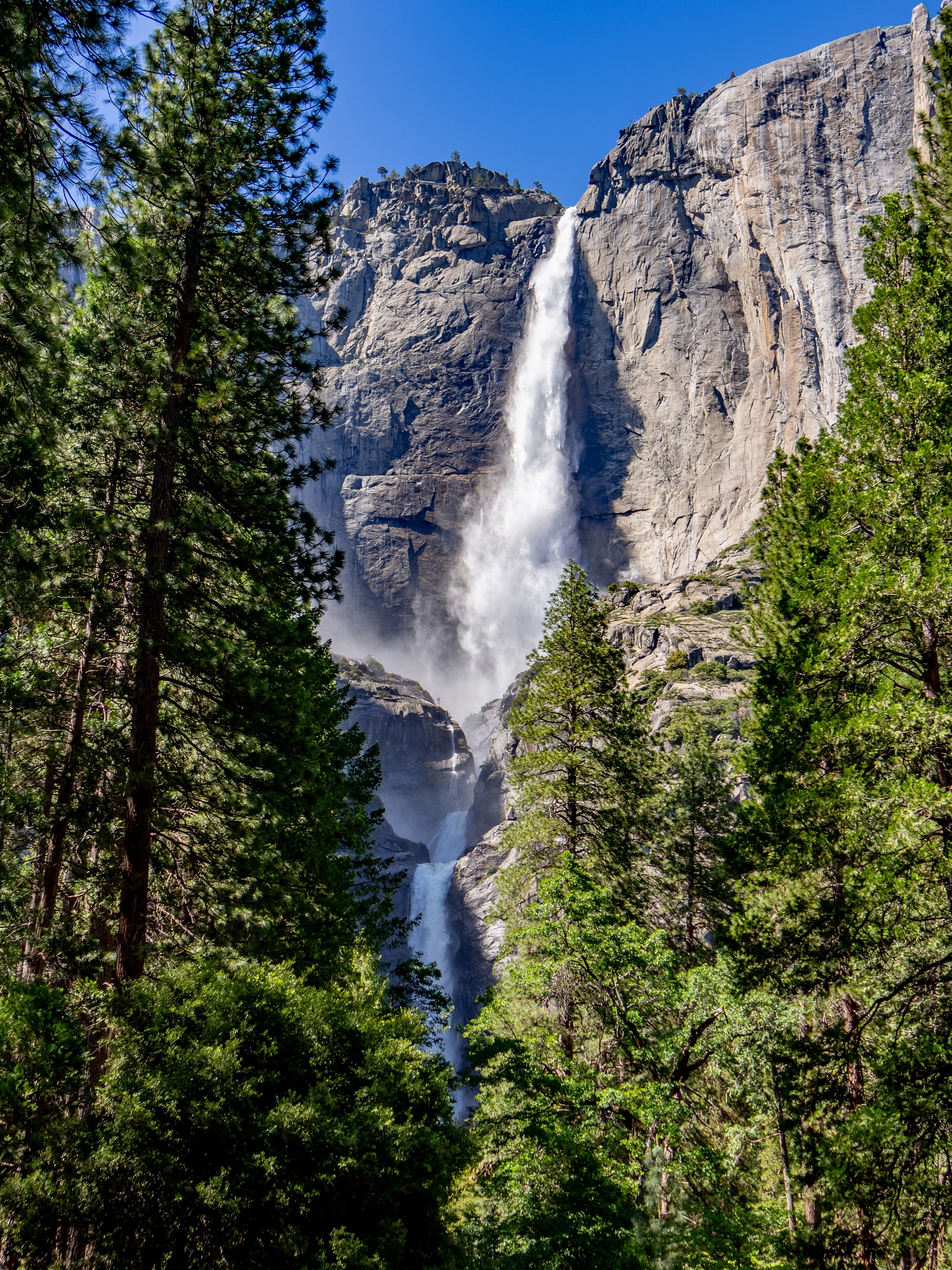 A towering waterfall descends a granite cliff surrounded by evergreen trees under a clear blue sky.