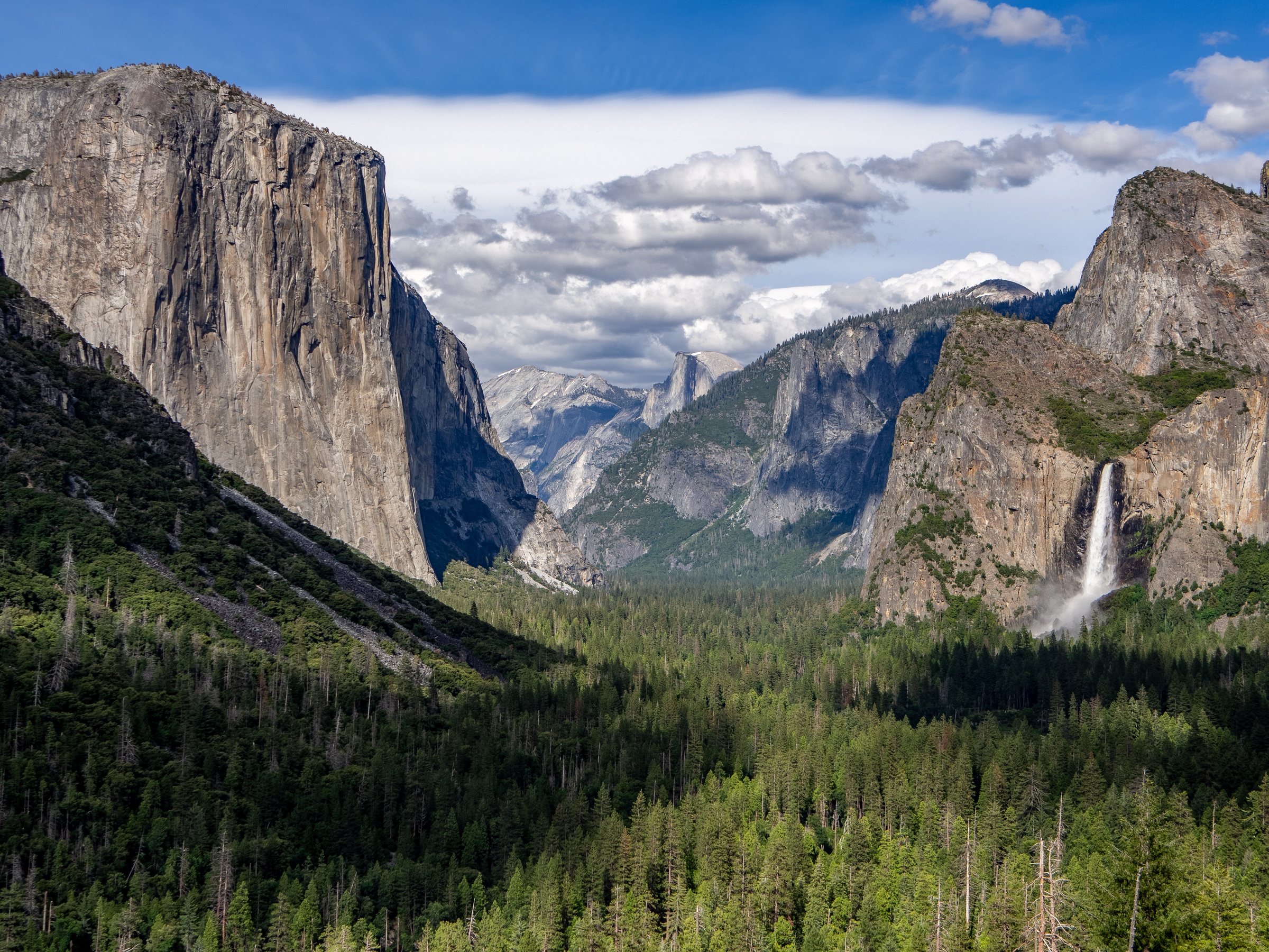 Massive granite cliffs and a waterfall surround a dense evergreen forest in a mountain valley.