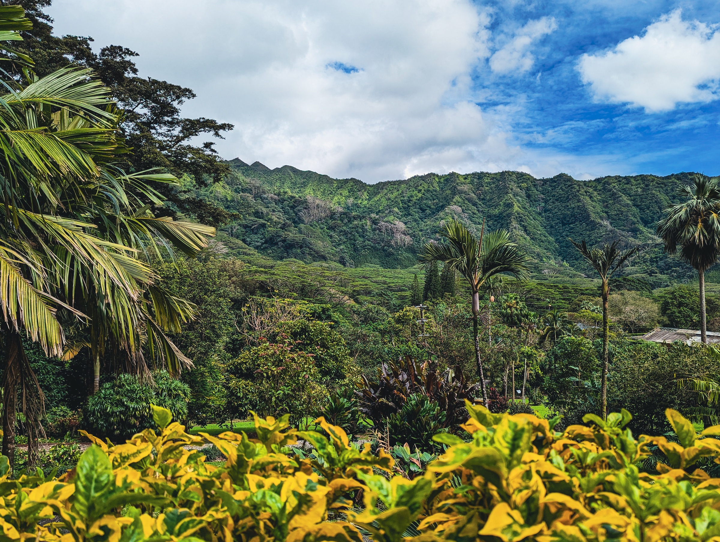 Lush green mountains tower over tropical foliage and palm trees under a blue sky with clouds.