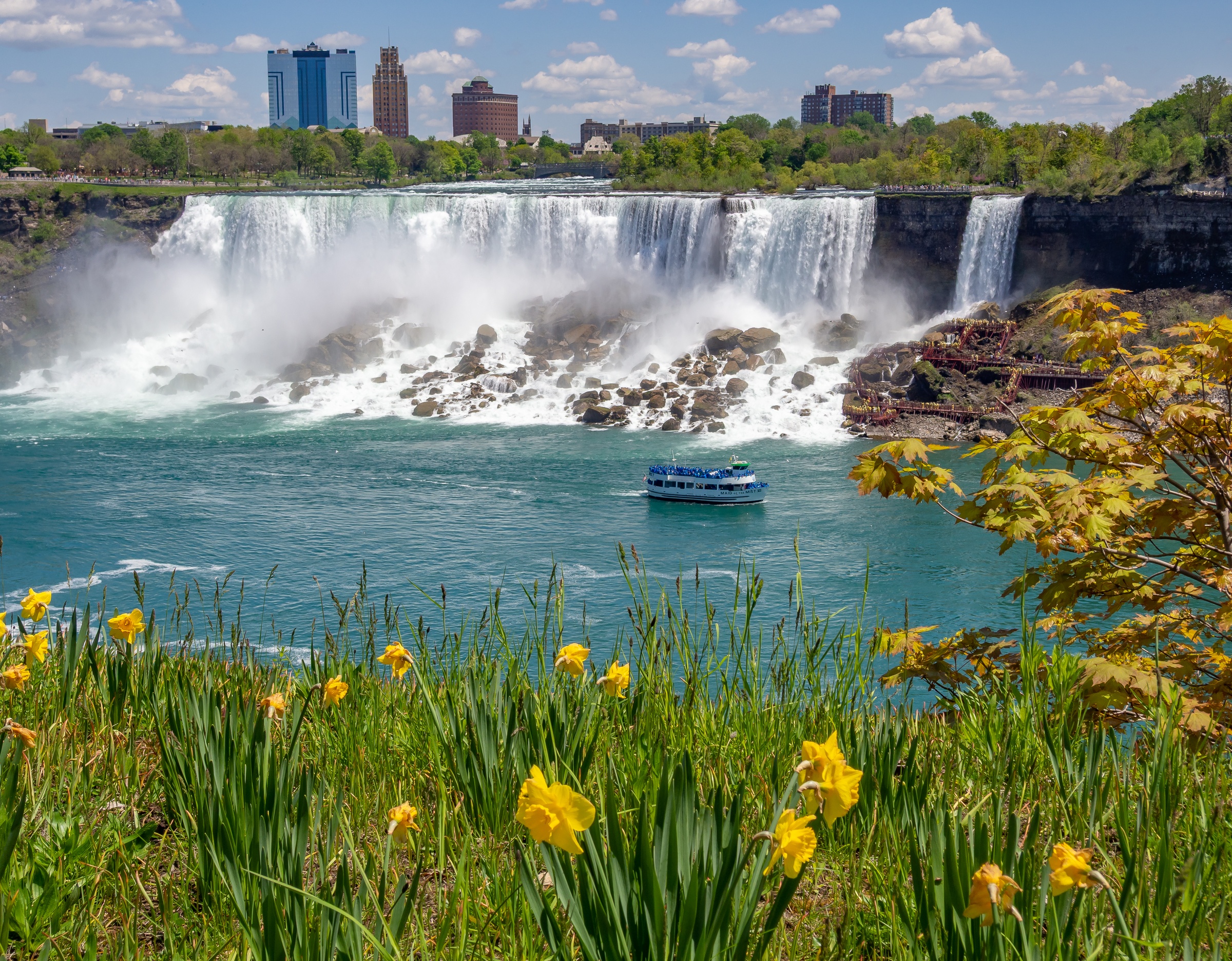 Yellow flowers bloom before a wide waterfall, a blue boat, and distant city buildings.