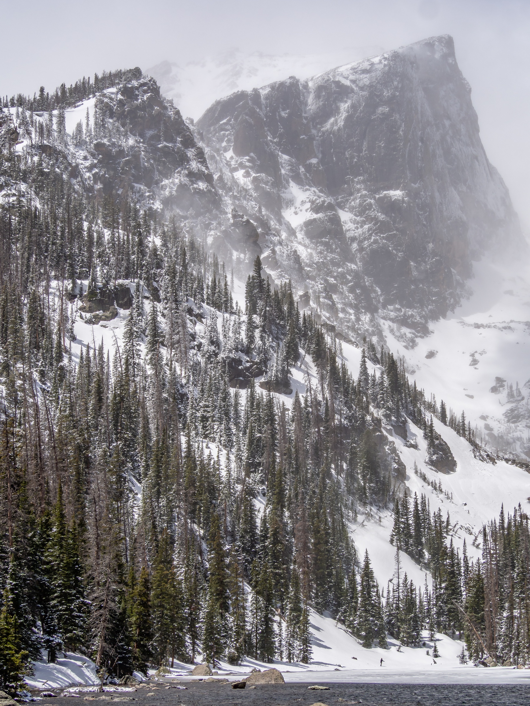 Snowy evergreen trees cover a steep slope beneath a massive rocky mountain peak.