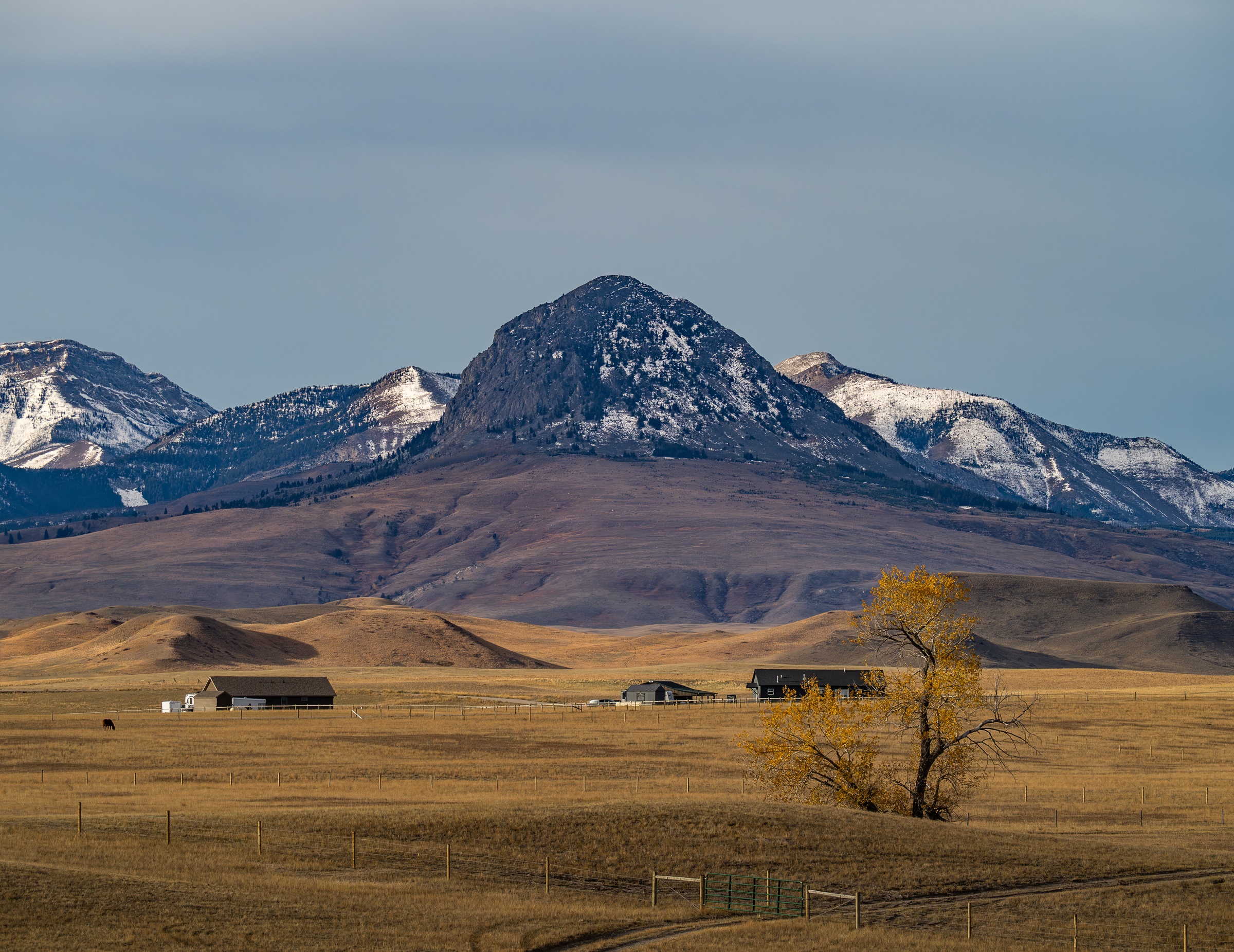 Farm buildings and a yellow tree stand in brown plains beneath a snow-capped mountain peak.