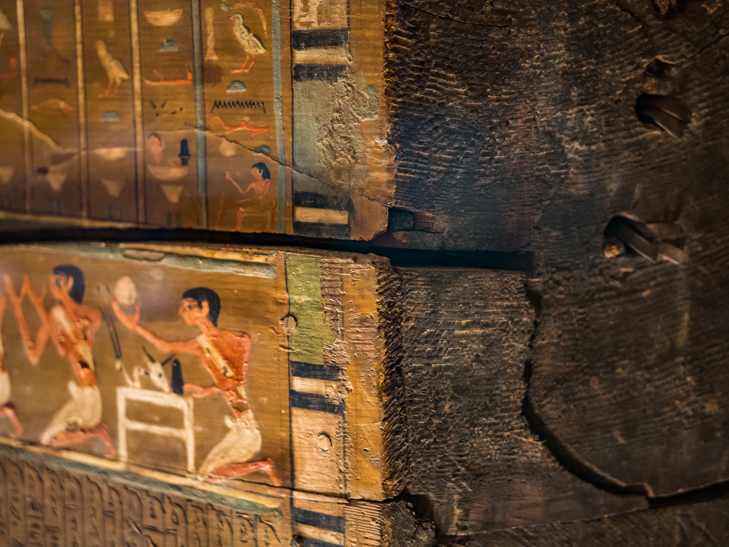 Ancient Egyptian painted wooden coffin panels display hieroglyphs and figures within a museum setting.