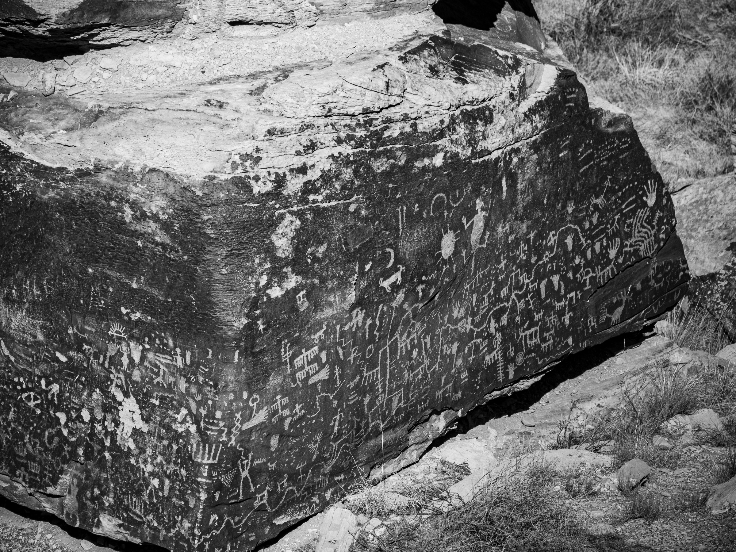 A large rock face displays numerous ancient petroglyphs within a desert landscape.
