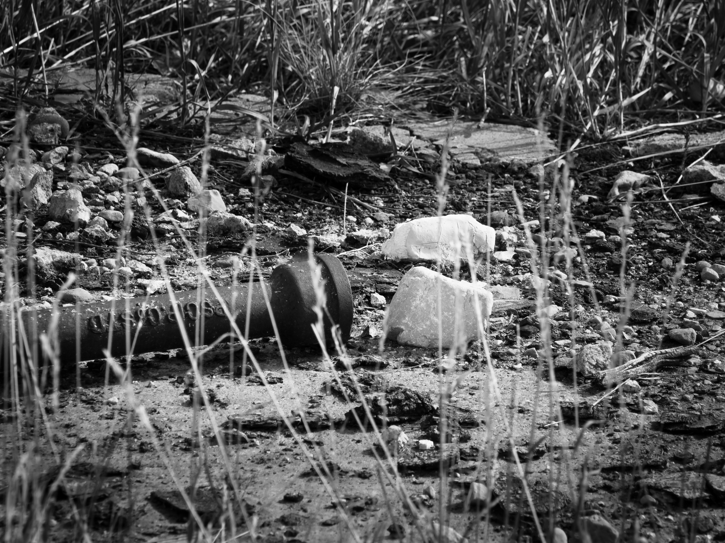 A dark pipe lies among rocks, grass, and debris in a natural, overgrown setting.