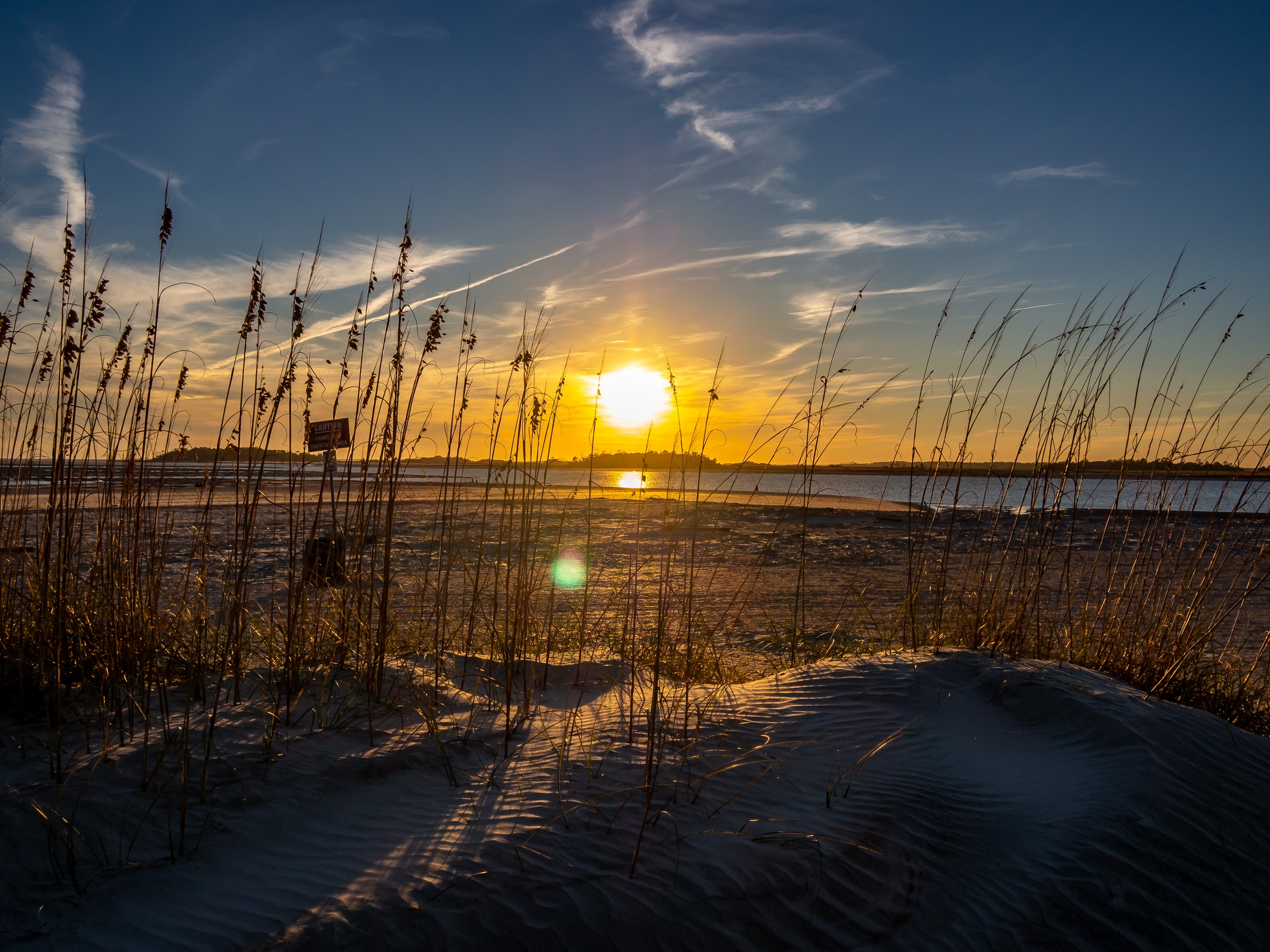 The sun sets over a sandy beach with tall grasses.