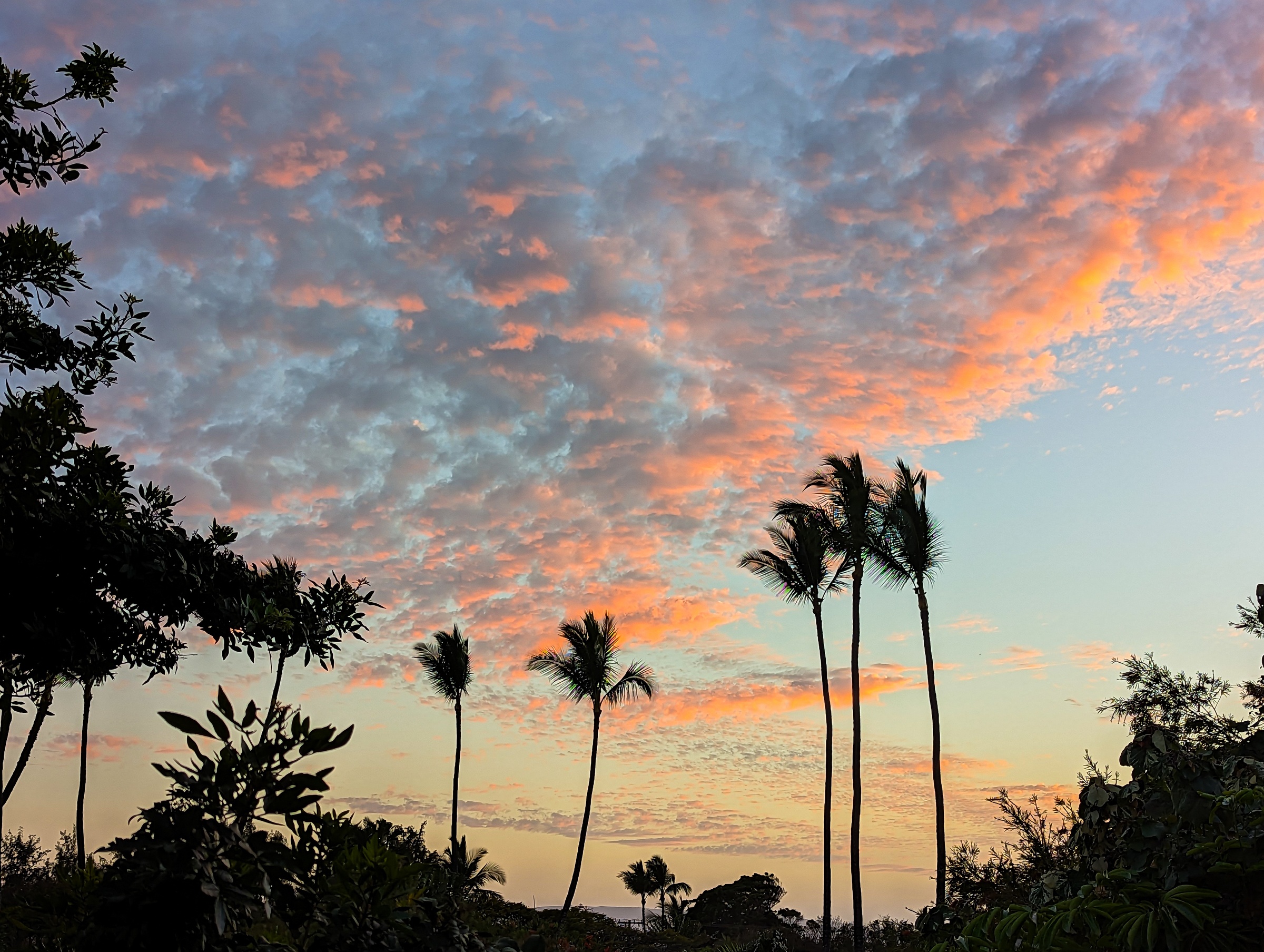 Silhouetted palm trees stand against a vibrant orange and blue cloudy sky.