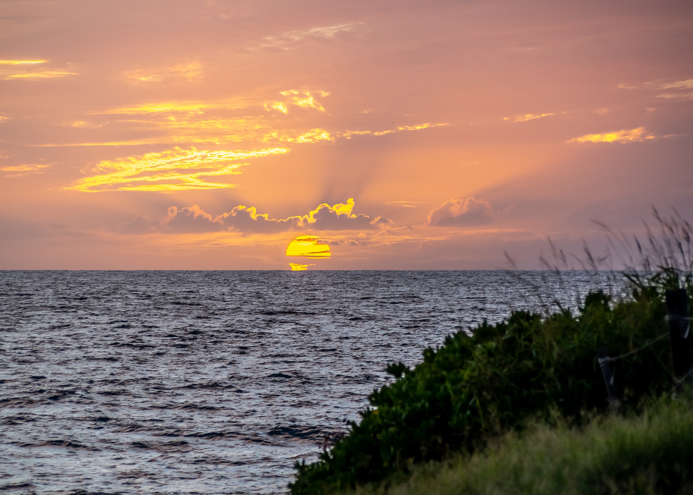 A golden sun sets over the ocean beside a grassy coastline.