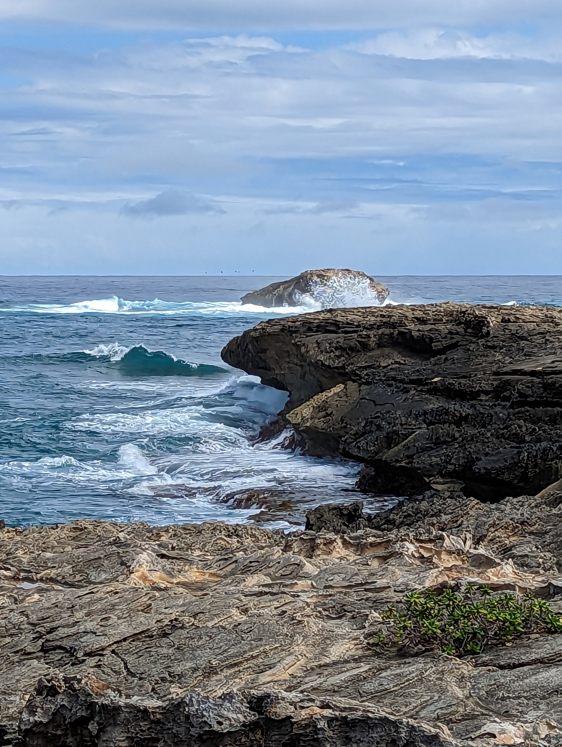Ocean waves crash against dark, rugged coastal rocks under a cloudy sky.