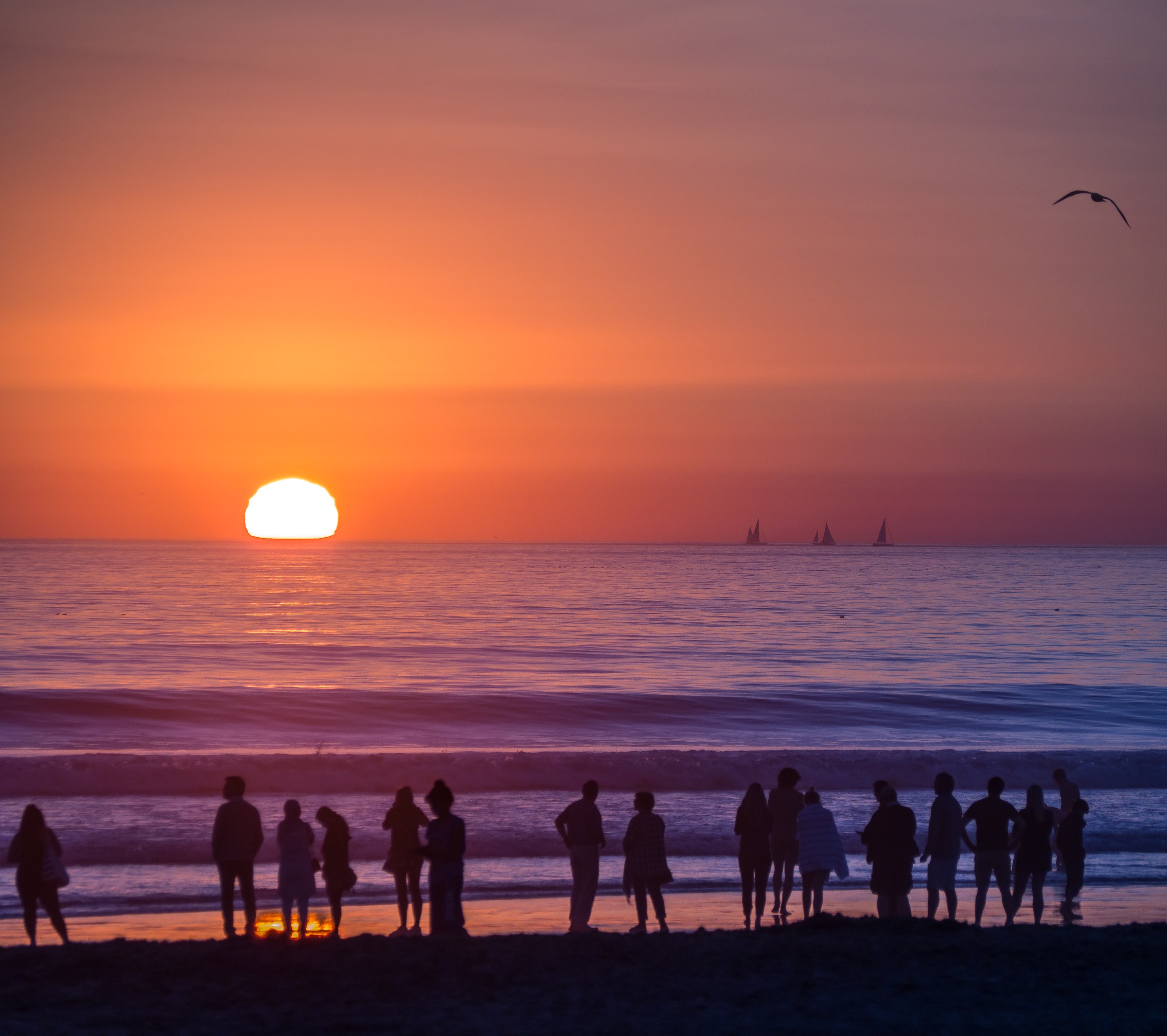 Silhouetted people stand on a beach as the sun sets over the ocean.