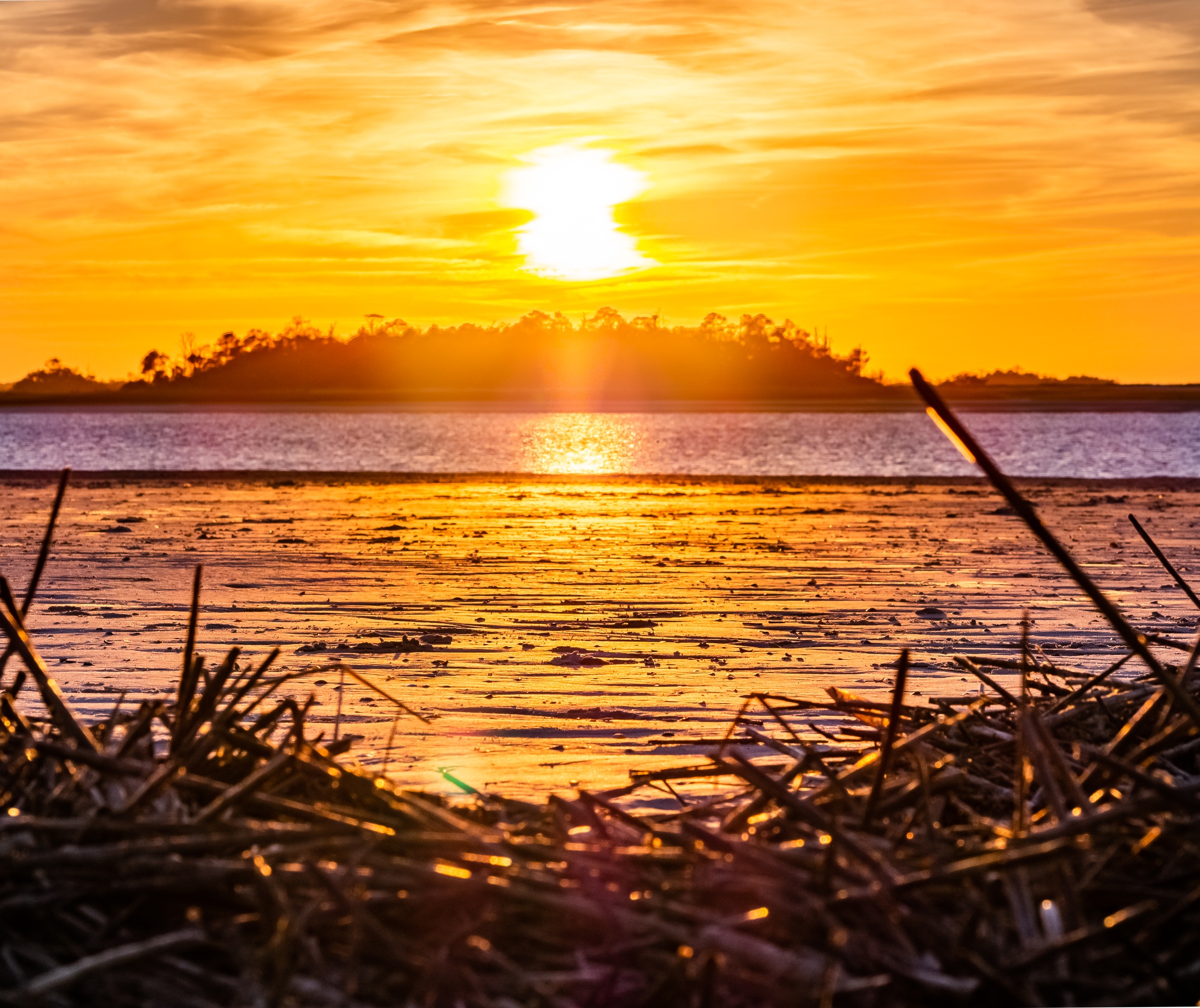 A bright orange sunset over water and silhouetted land behind dry grasses.