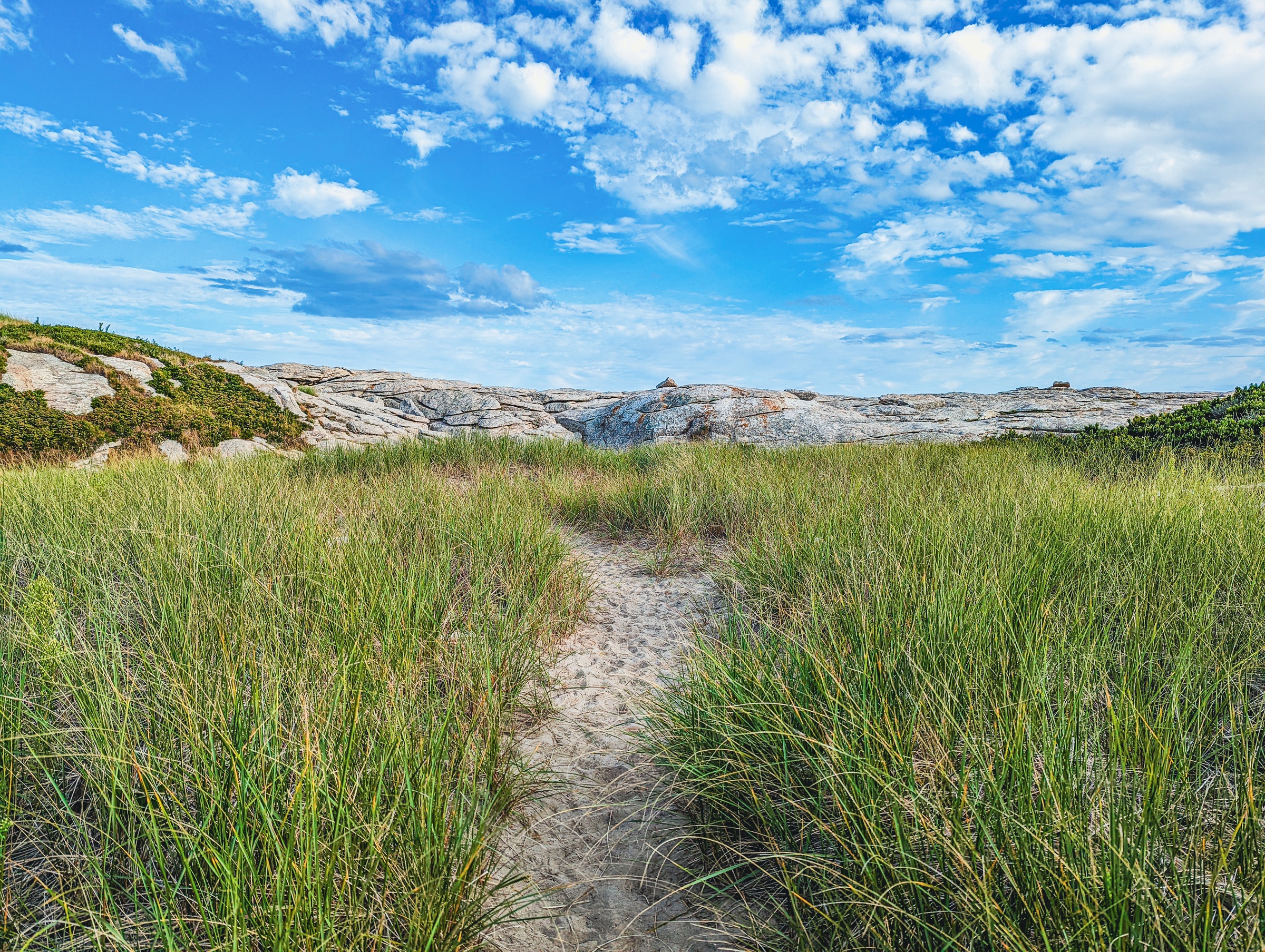 A sandy path winds through tall green grass toward a rocky coast under a cloudy blue sky.