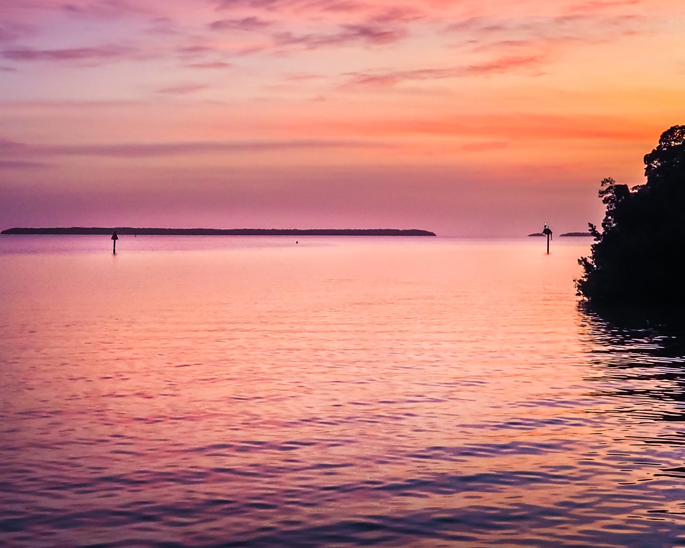 A pink and orange sunset reflects over calm water with a distant shoreline and nearby trees.